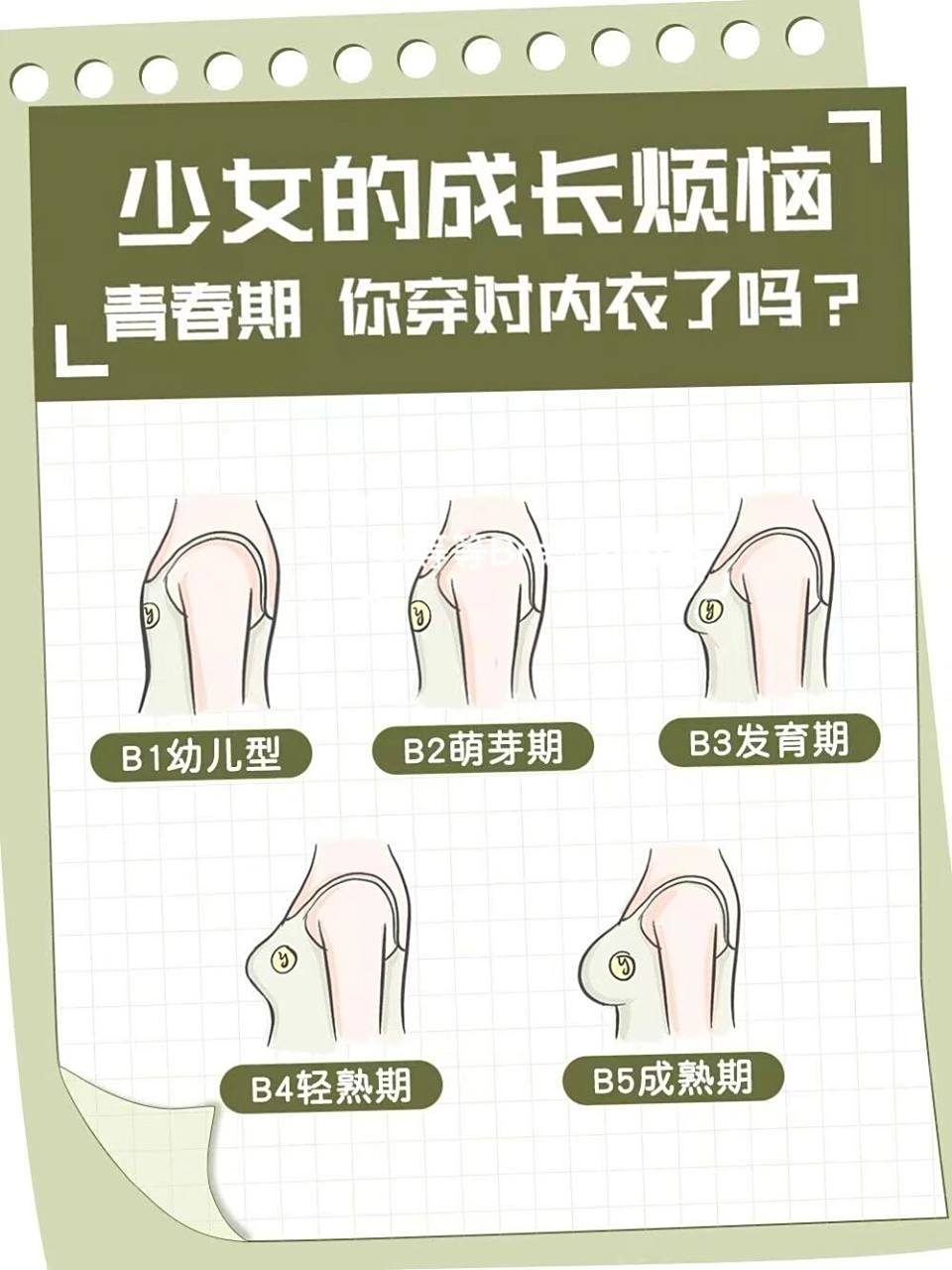 乳房萌芽期阶段:9—10岁,选择棉质小背心即可,不要束缚胸部发育 266