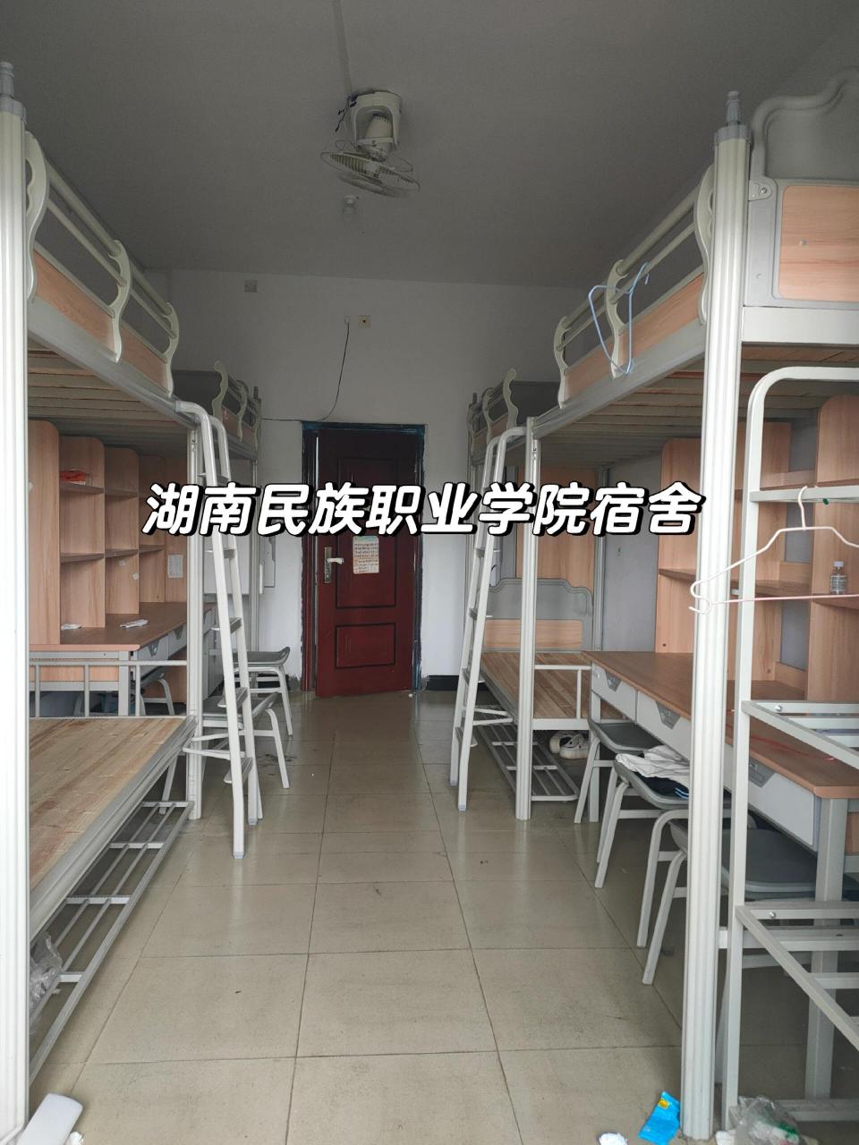 岳阳民族学院职院图片