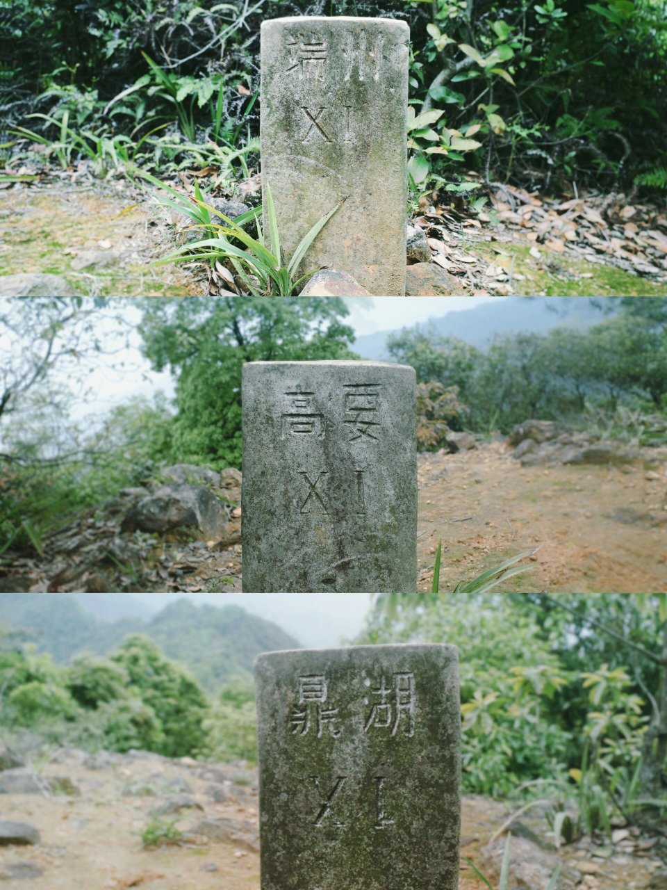 肇庆喜欢爬山的给我冲——小鸡笼山 鼎湖有两座著名的山峰,被称为肇庆