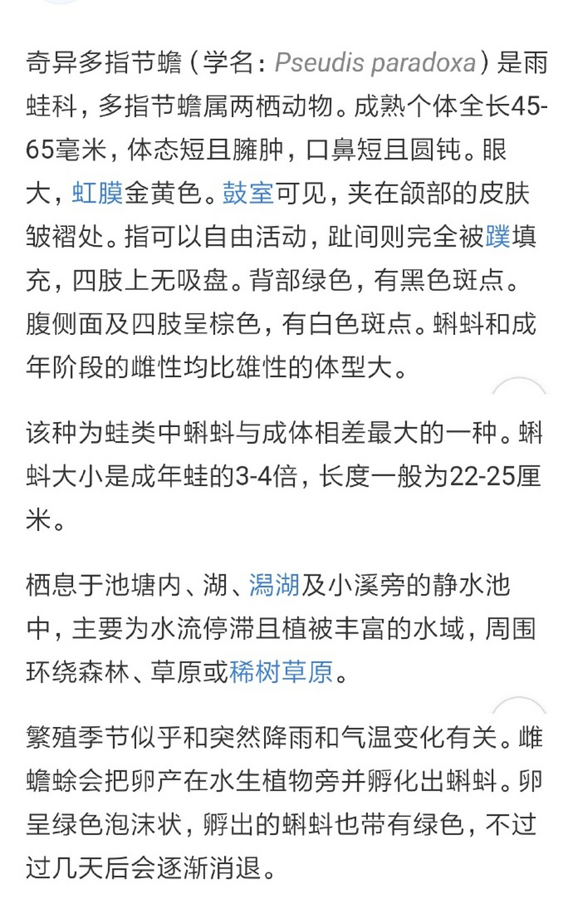 不合理蛙图片