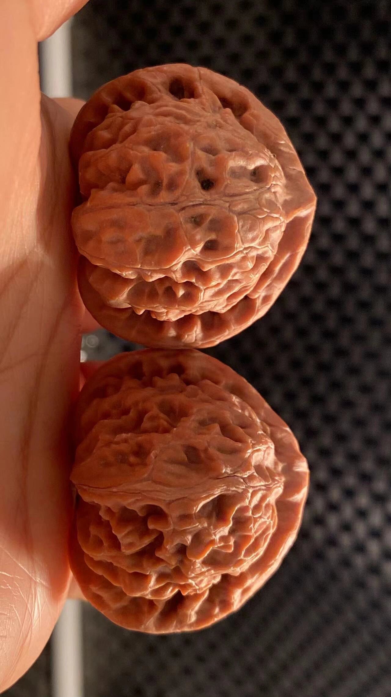 宫灯狮子头 80元起拍 全品精品圆球大肚玉玺宫灯狮子头 39-34-37 宫灯