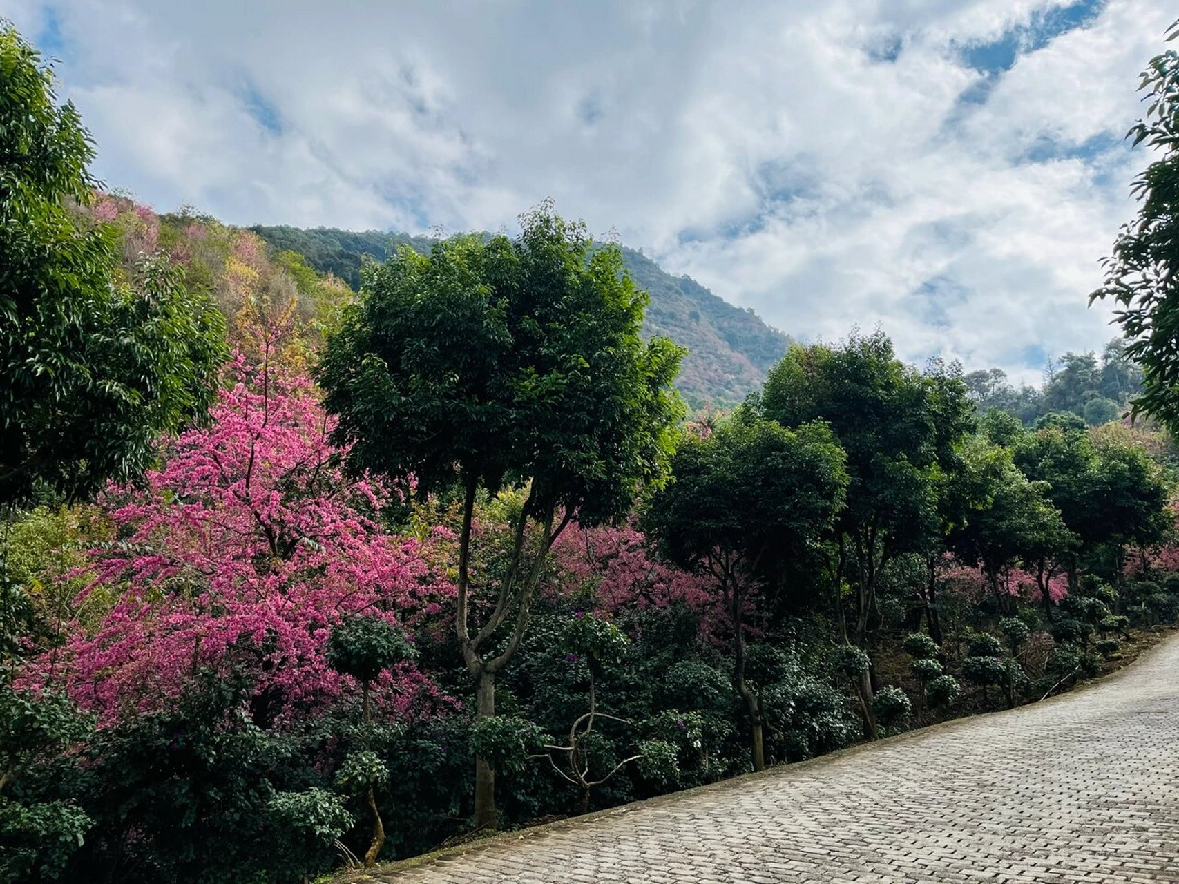 宜良陡坡寺图片