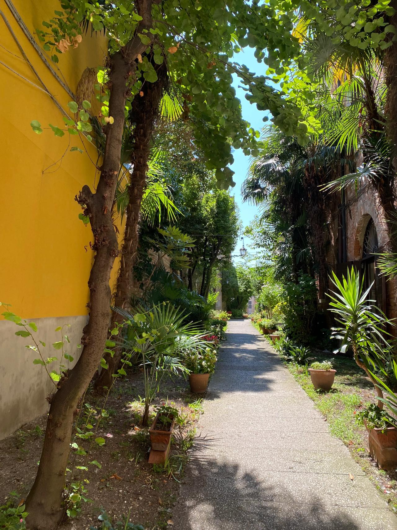 城市风景分享# 国外风景随手拍 晒晒你拍的美景 随手拍旅行 手机风景