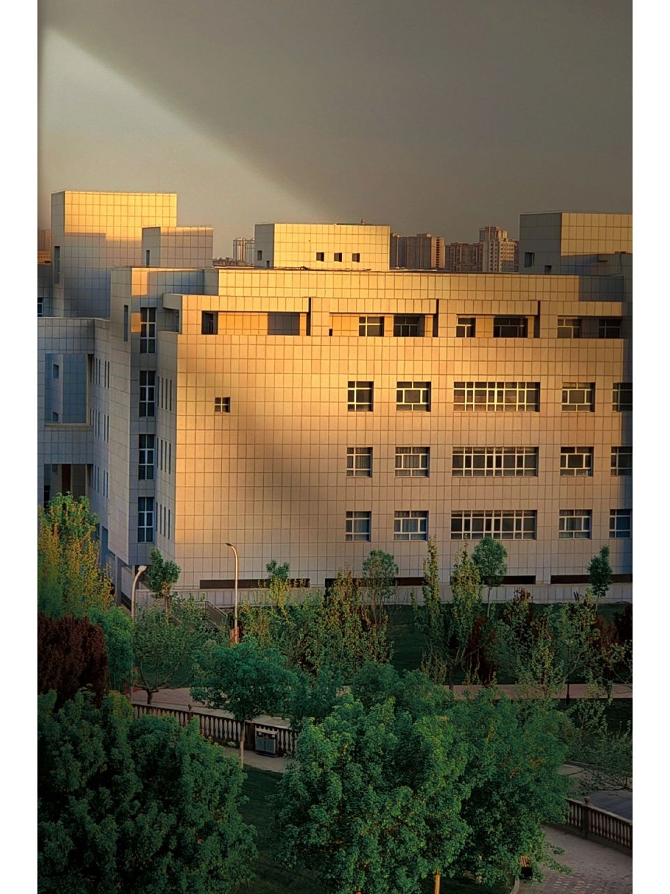 喀什大学图片老校区图片