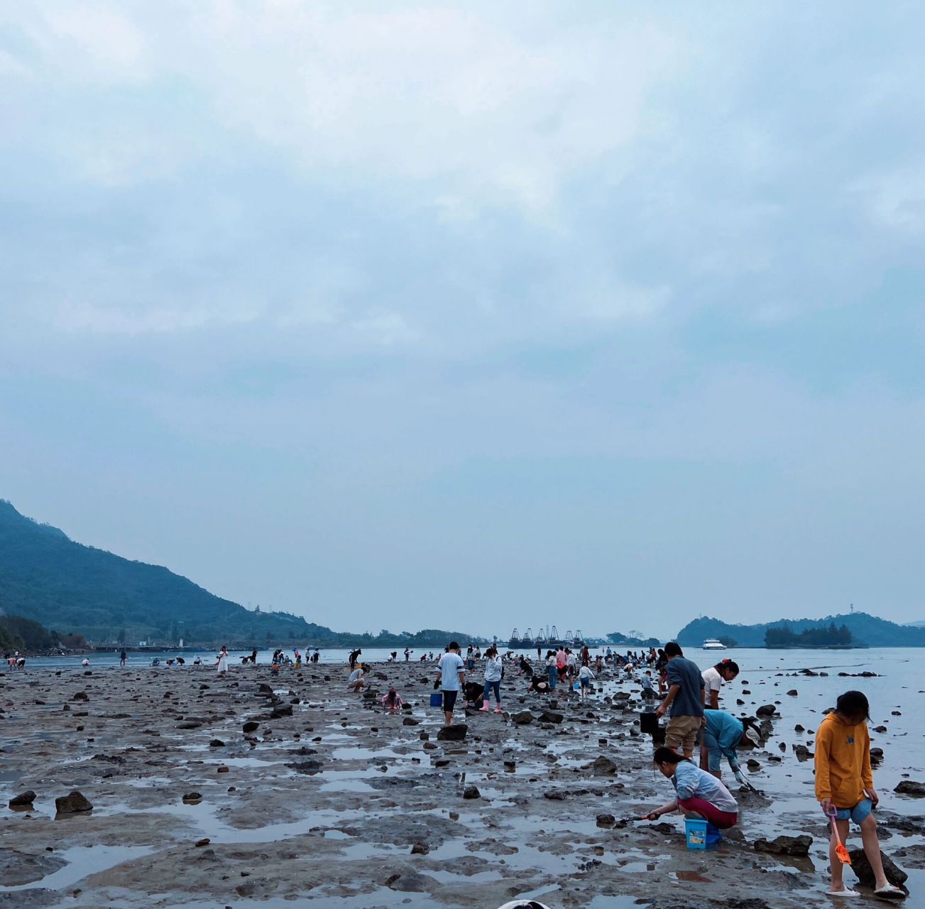 深圳周边自驾赶海攻略～小桂村 小桂码头赶海   深圳龙岗自驾过去约一