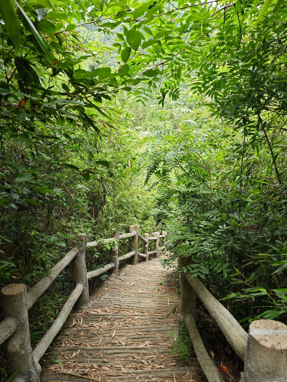 舒城滴水岩 721595从市区出发,导航舒城县滴水岩风景区,约一个