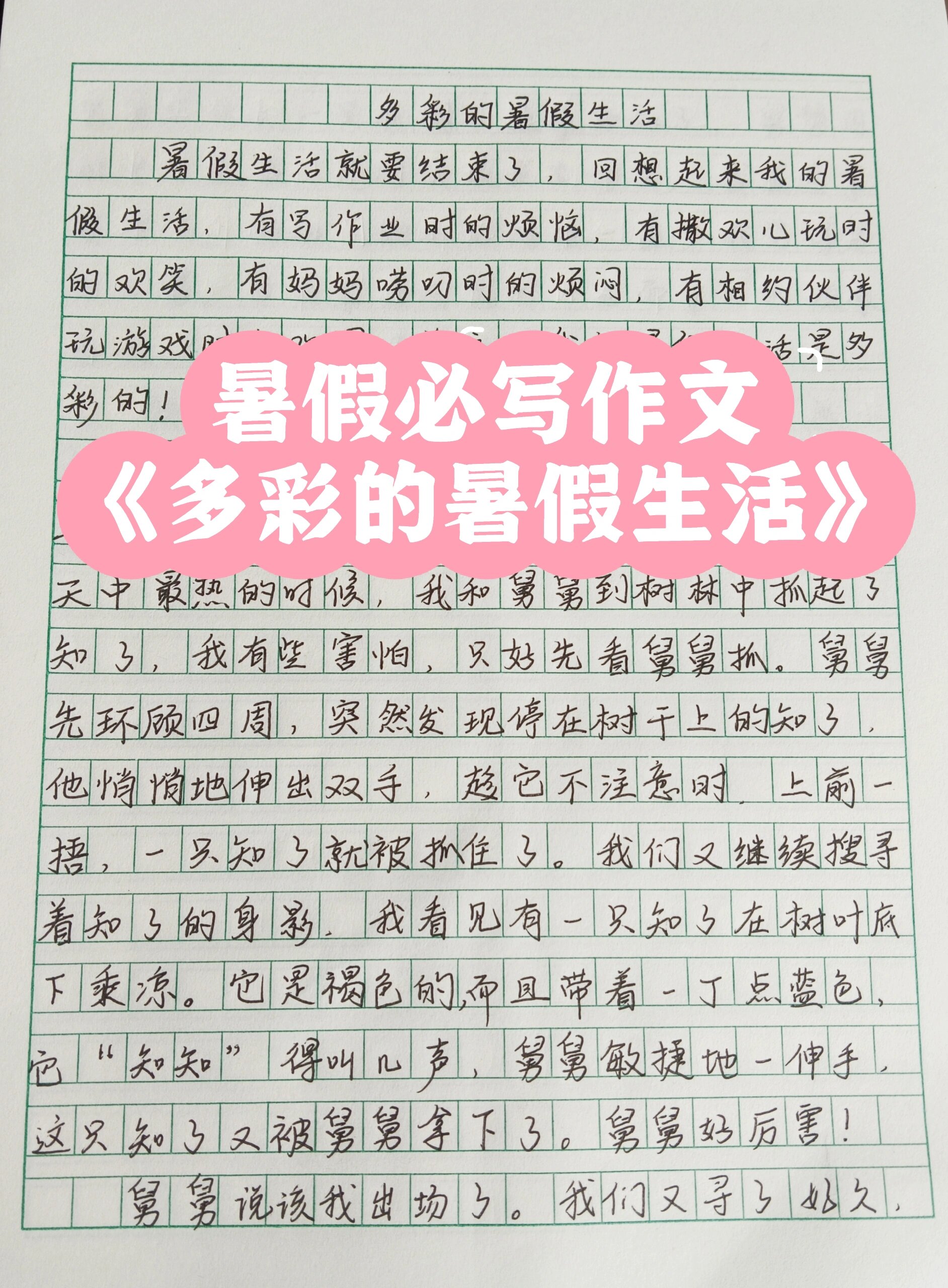 暑假必写作文《多彩的暑假生活》