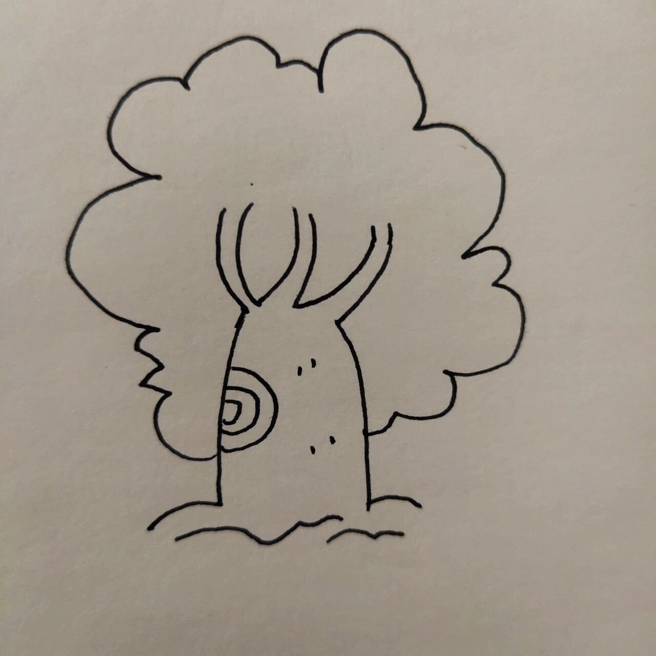 大树简笔画(步骤)