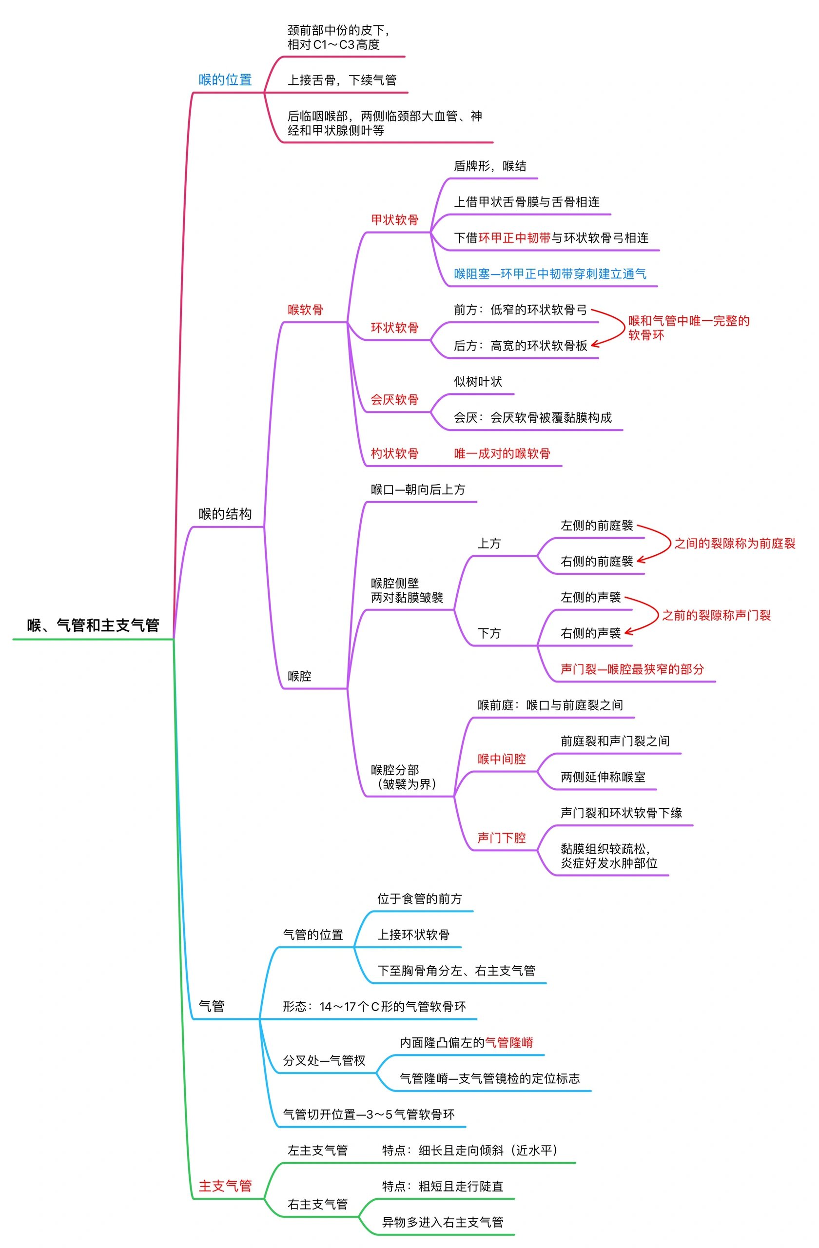 呼吸系统的全部思维导图 @二九的护理技巧分享的动态