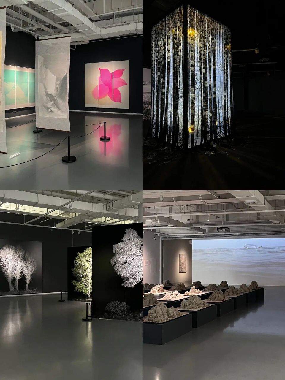 重庆新展95无声前行 97|悦来美术馆 92|3.19-6.