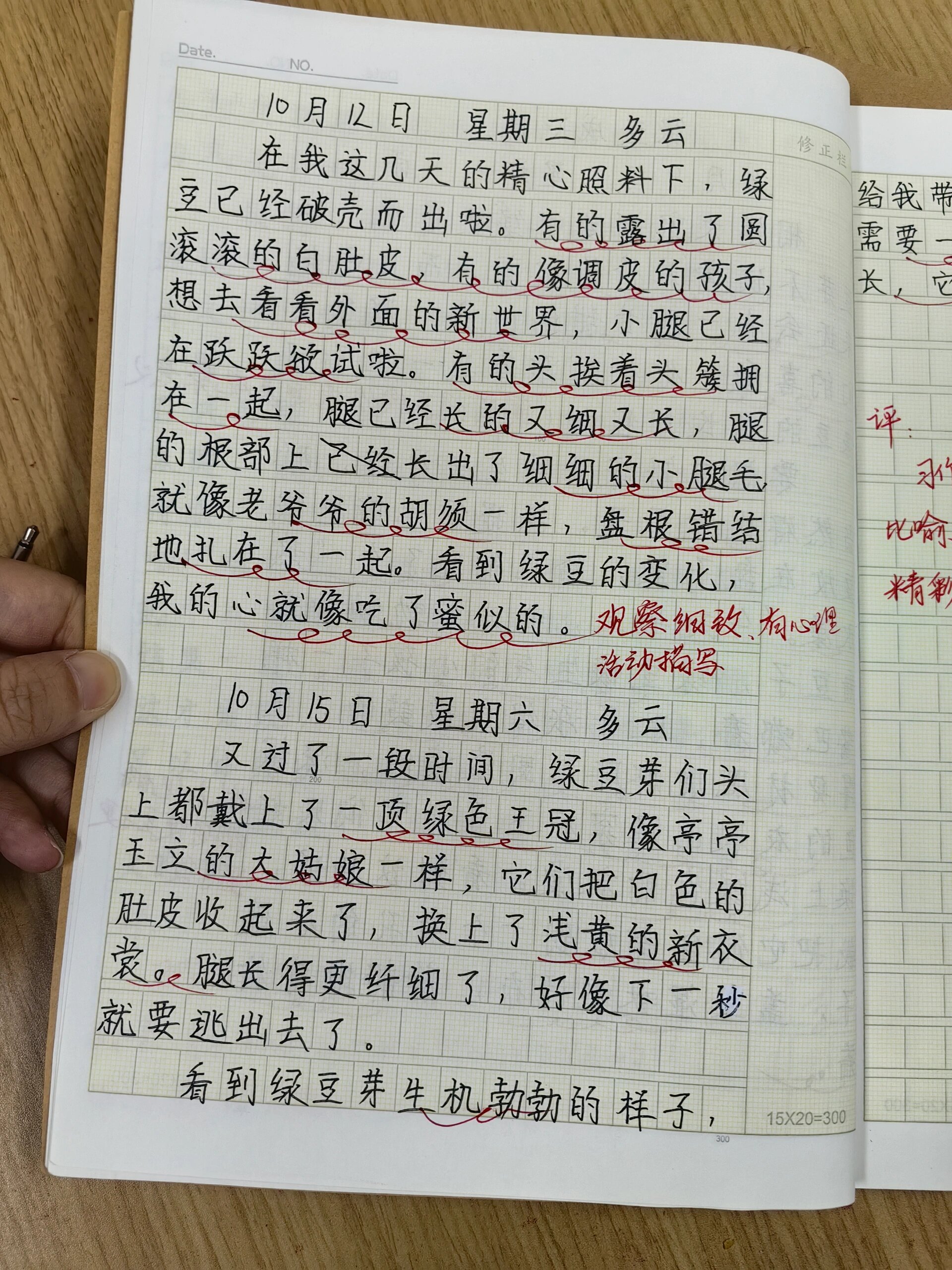 观察日记400字四年级(观察日记400字四年级优秀作文)