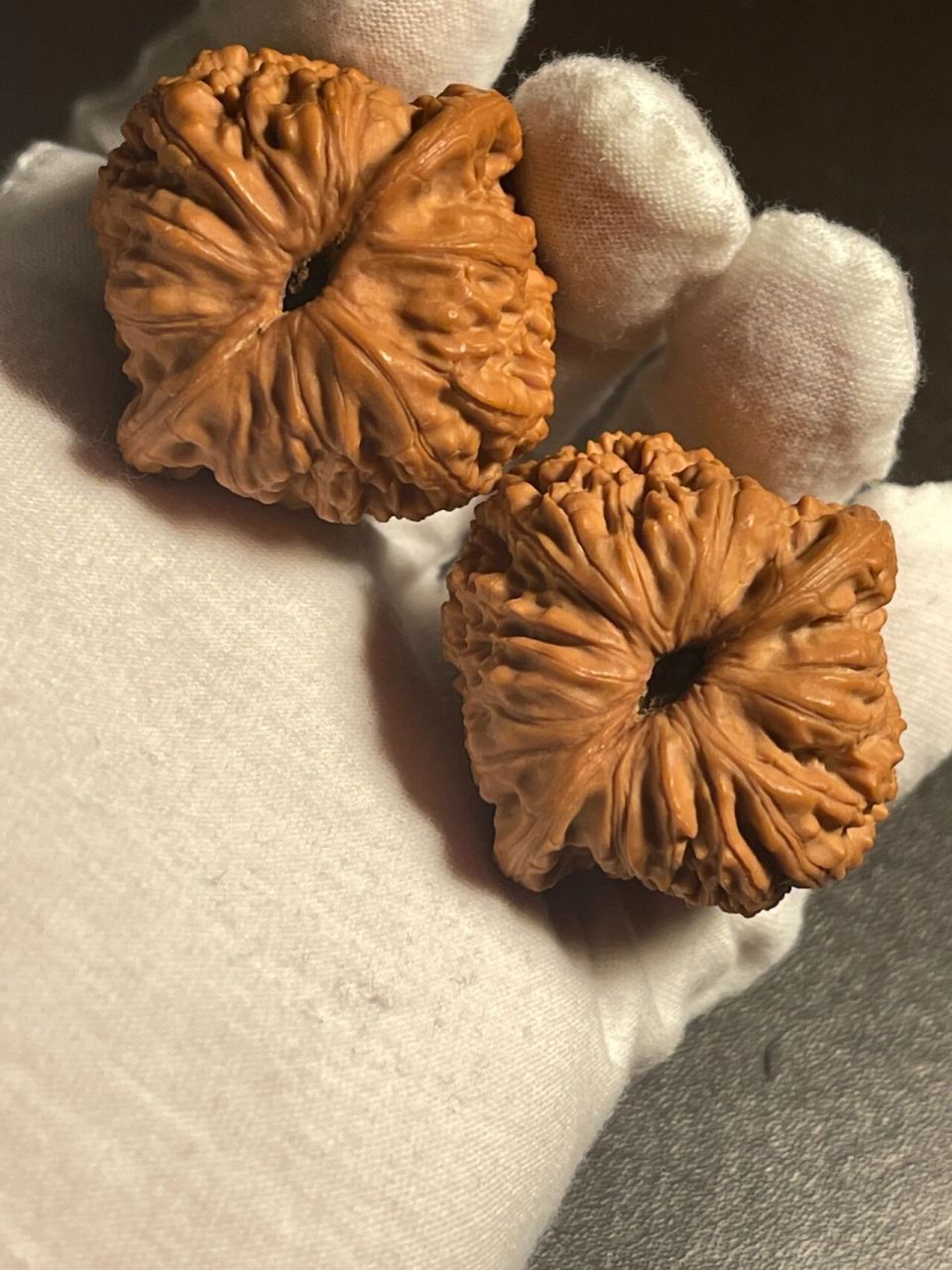 科普贴—野生核桃的区分一:绣球核桃     绣球狮子头源产地为北京平谷