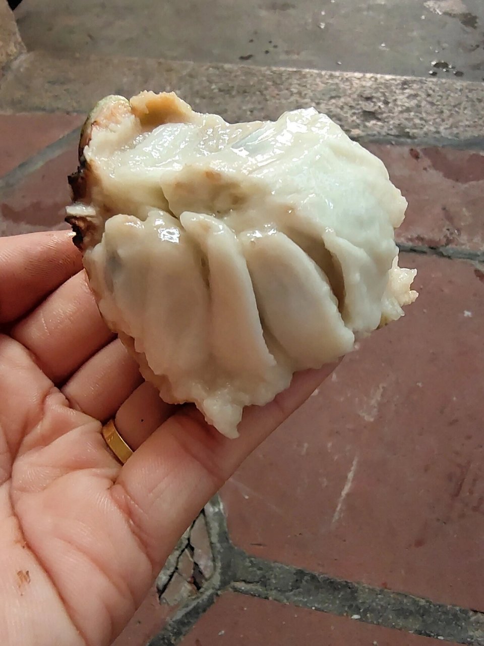 第一次买释迦果,打开这样是坏了吗 今天在路边买的果子,那个阿姨说