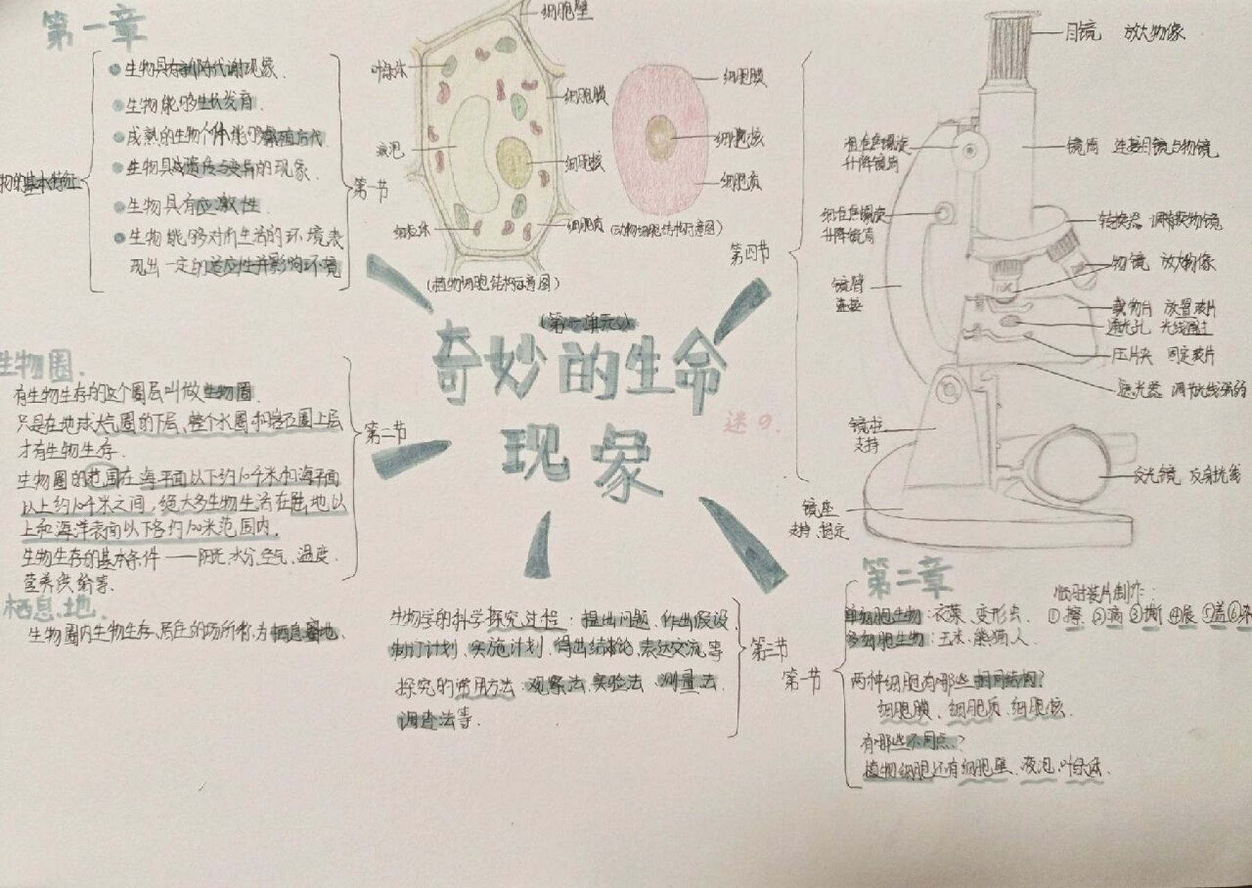 七上生物第一单元前五节思维导图 七上生物学《奇妙的生命现象》整理