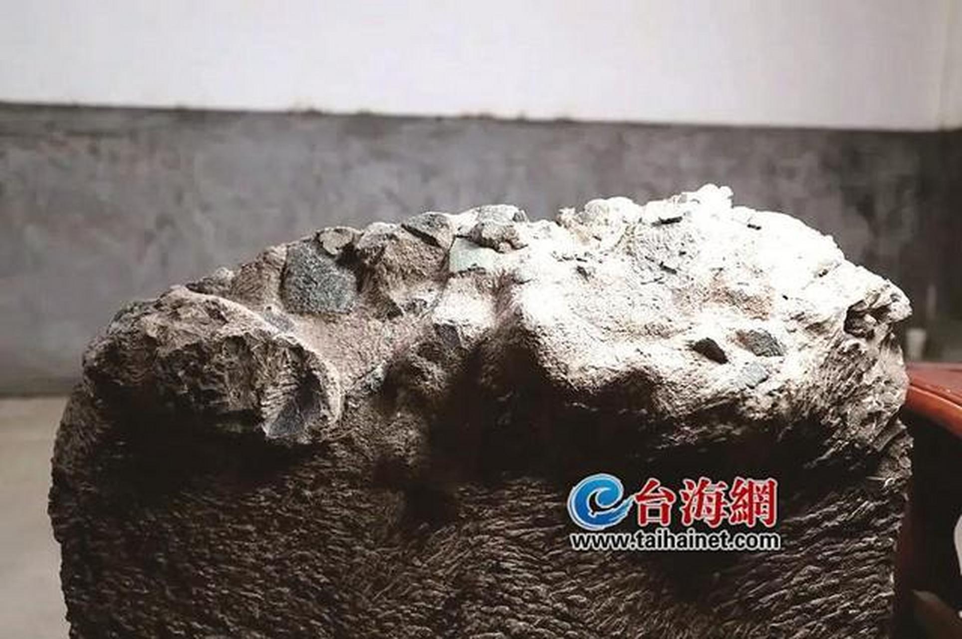 【上杭首次发现恐龙蛋,还是一整窝!】龙岩"寻龙"再获重大突破!