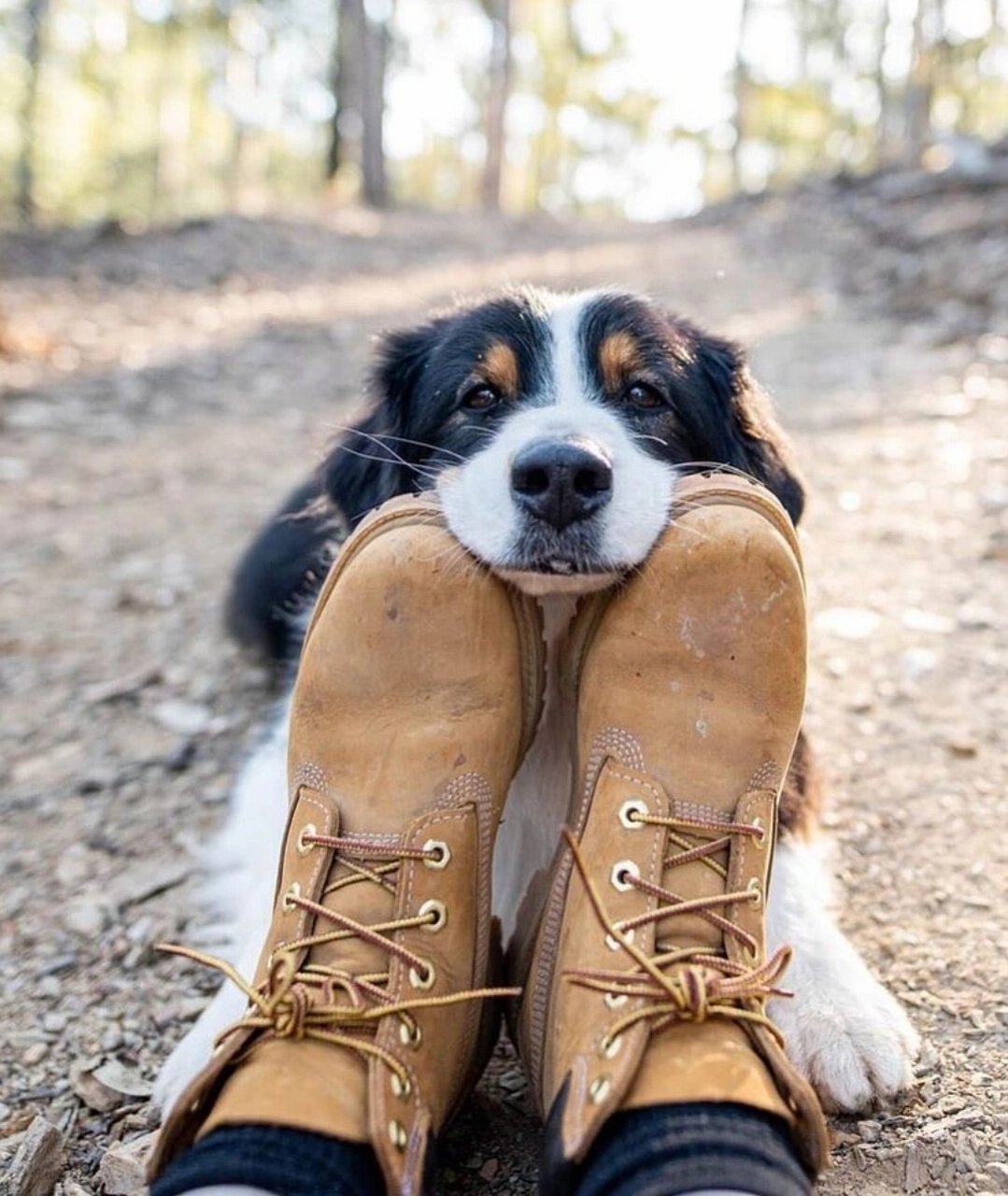 red wing,danner,timberland 只有danner还没有尝试过,danner也算是