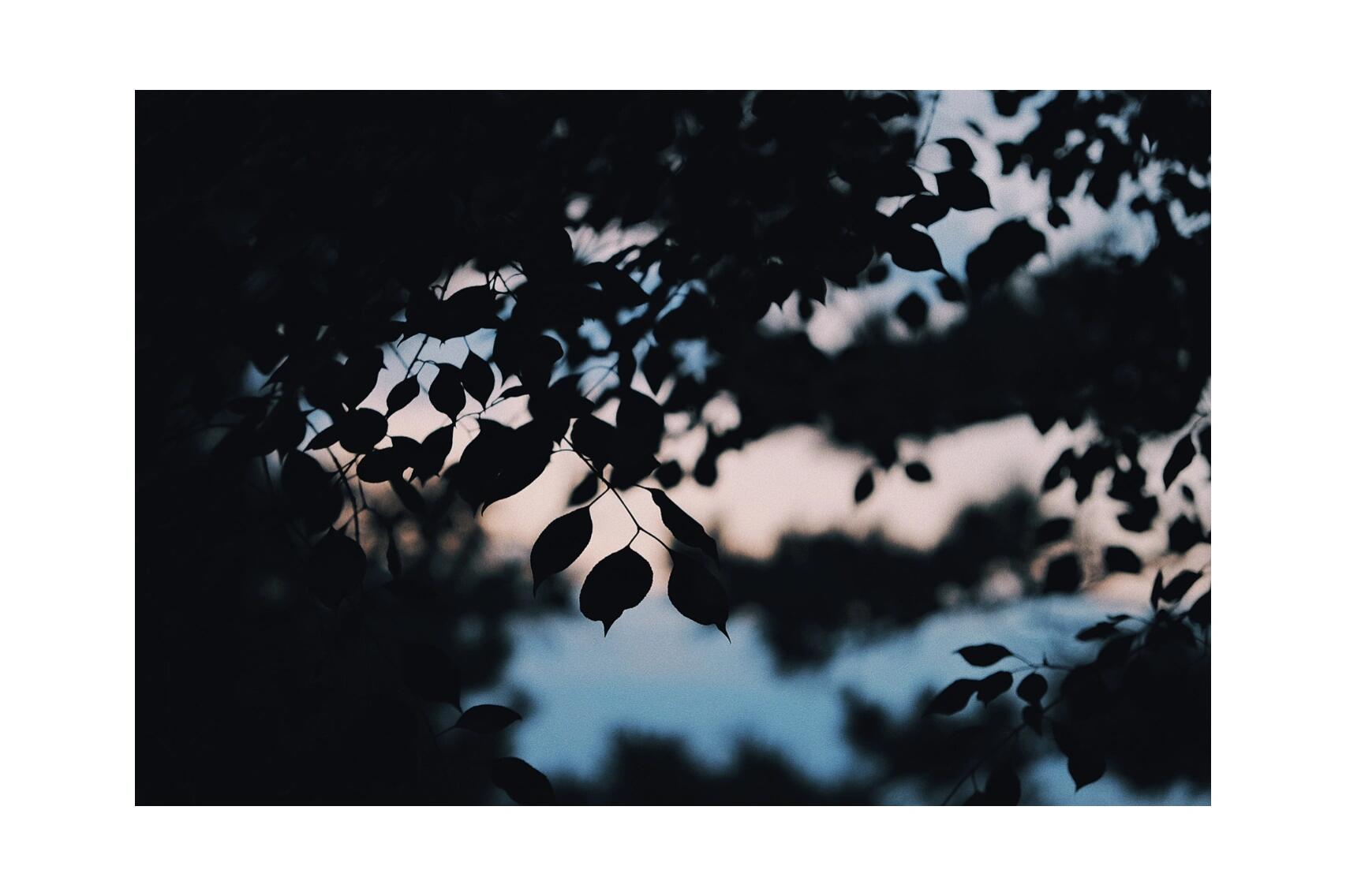 "小布尔乔亚的无病呻吟"  所表达的是种情绪片.