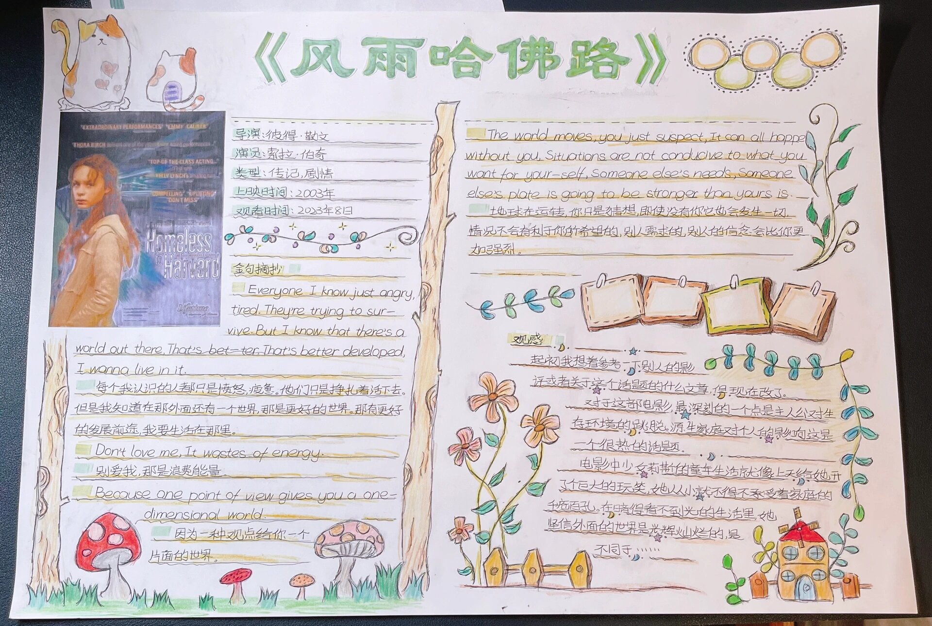 《风雨哈佛路》手抄报 摘抄 观感