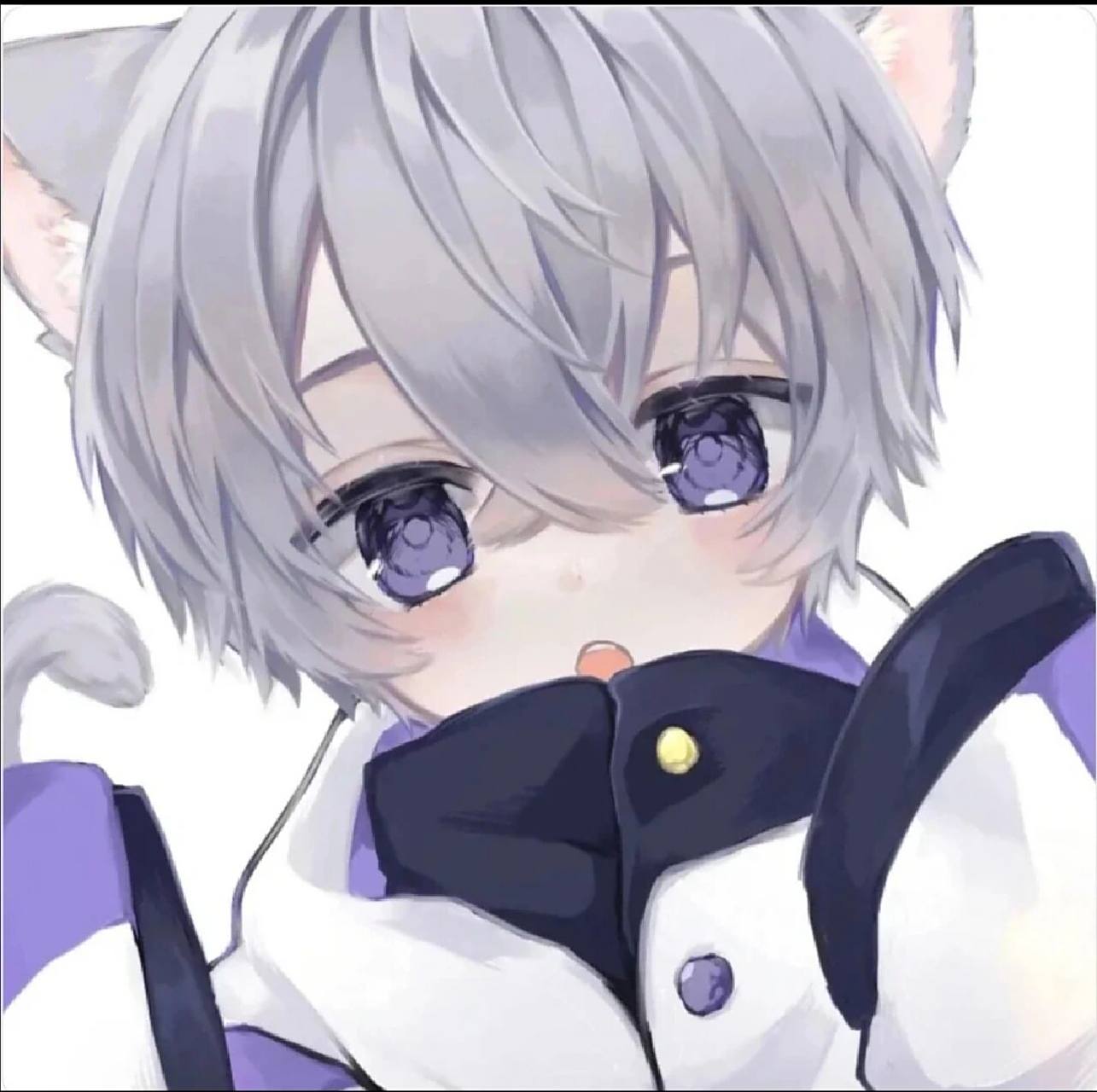 兽耳正太头像,清晰无水印 新人报道  大号