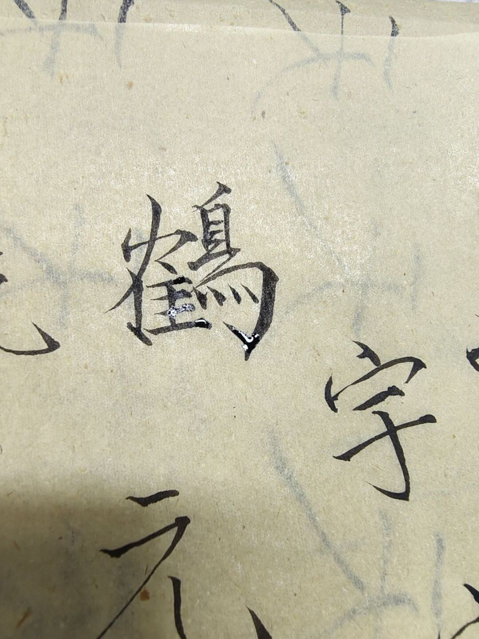 照葫芦画瓢练习瘦金体的第二天 大家都是怎么学的?#瘦金体# #毛笔字