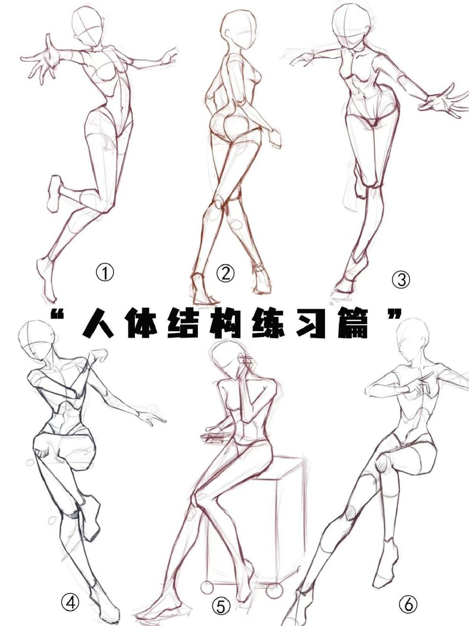 【人体结构练习篇】自学手绘人物‖人体速写 【想自学手绘人物!