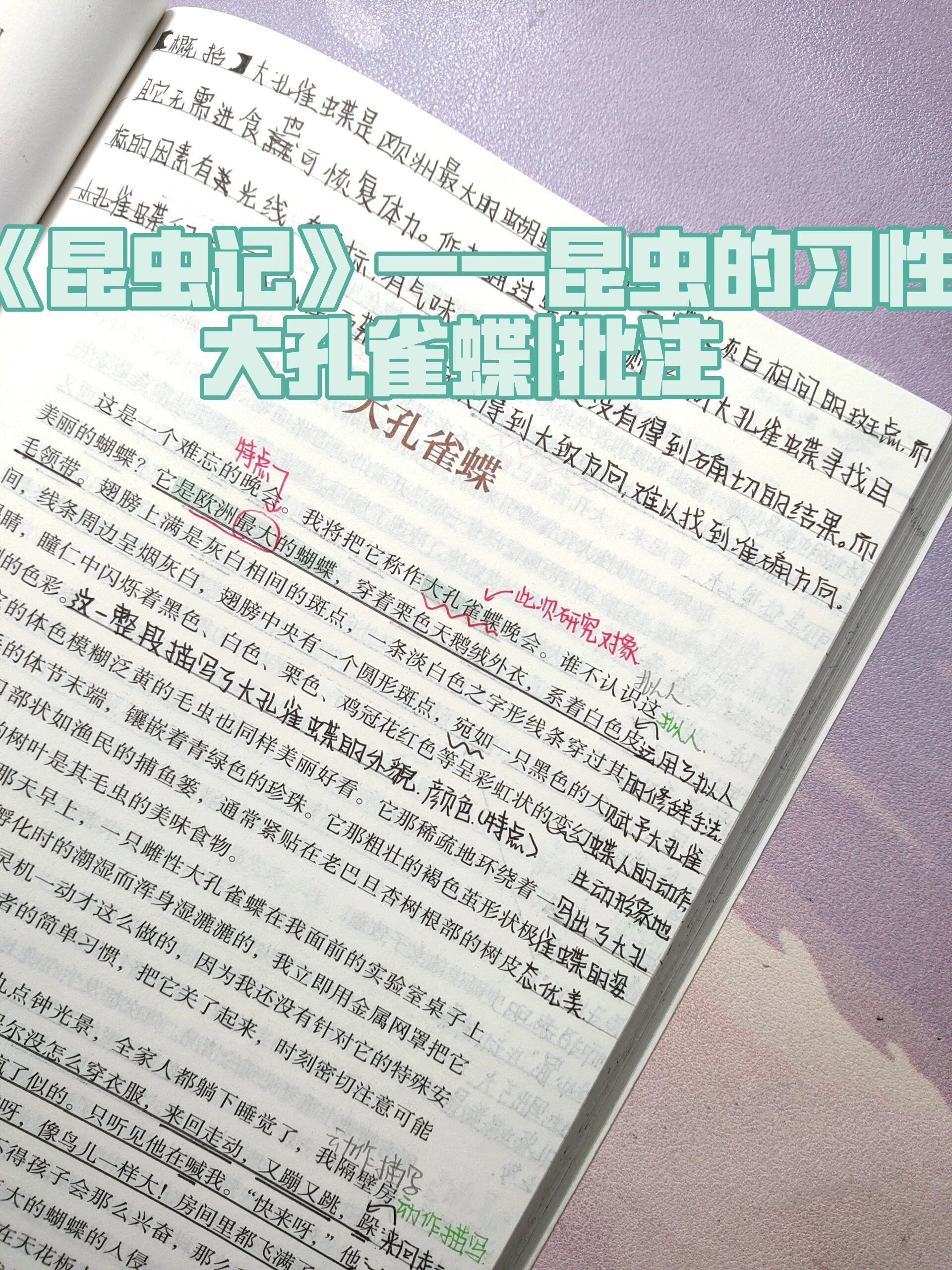 —昆虫的习性:大孔雀蝶