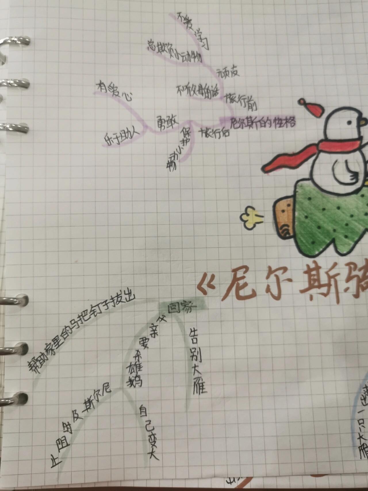 巜尼尔斯骑鹅旅行记》思维导图