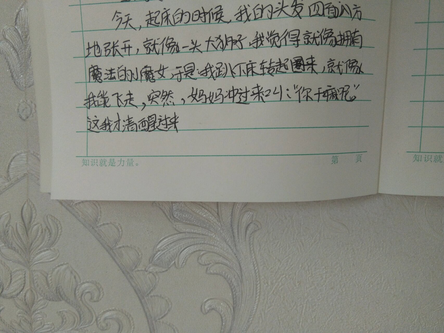 50字日记可抄