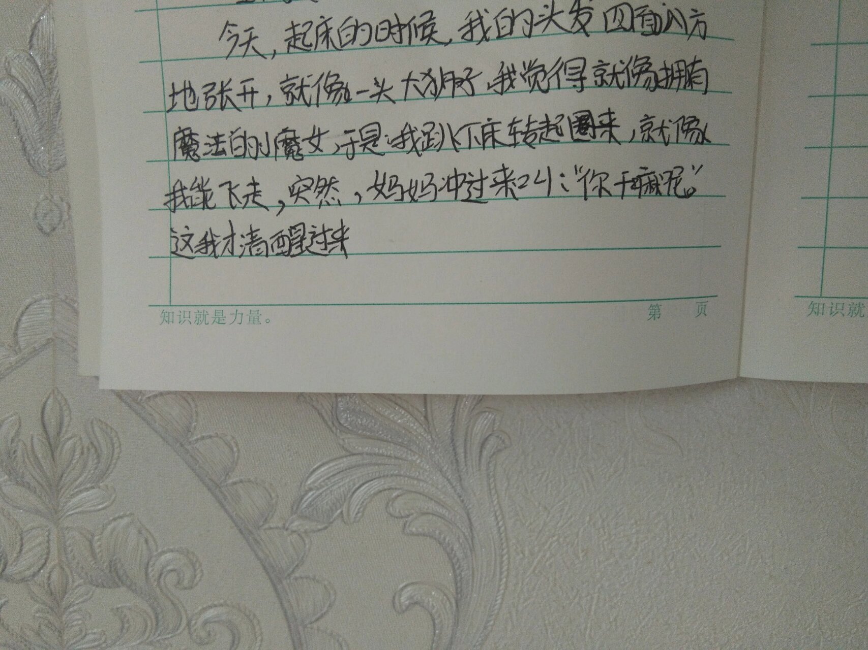 日记50个字30篇20篇图片