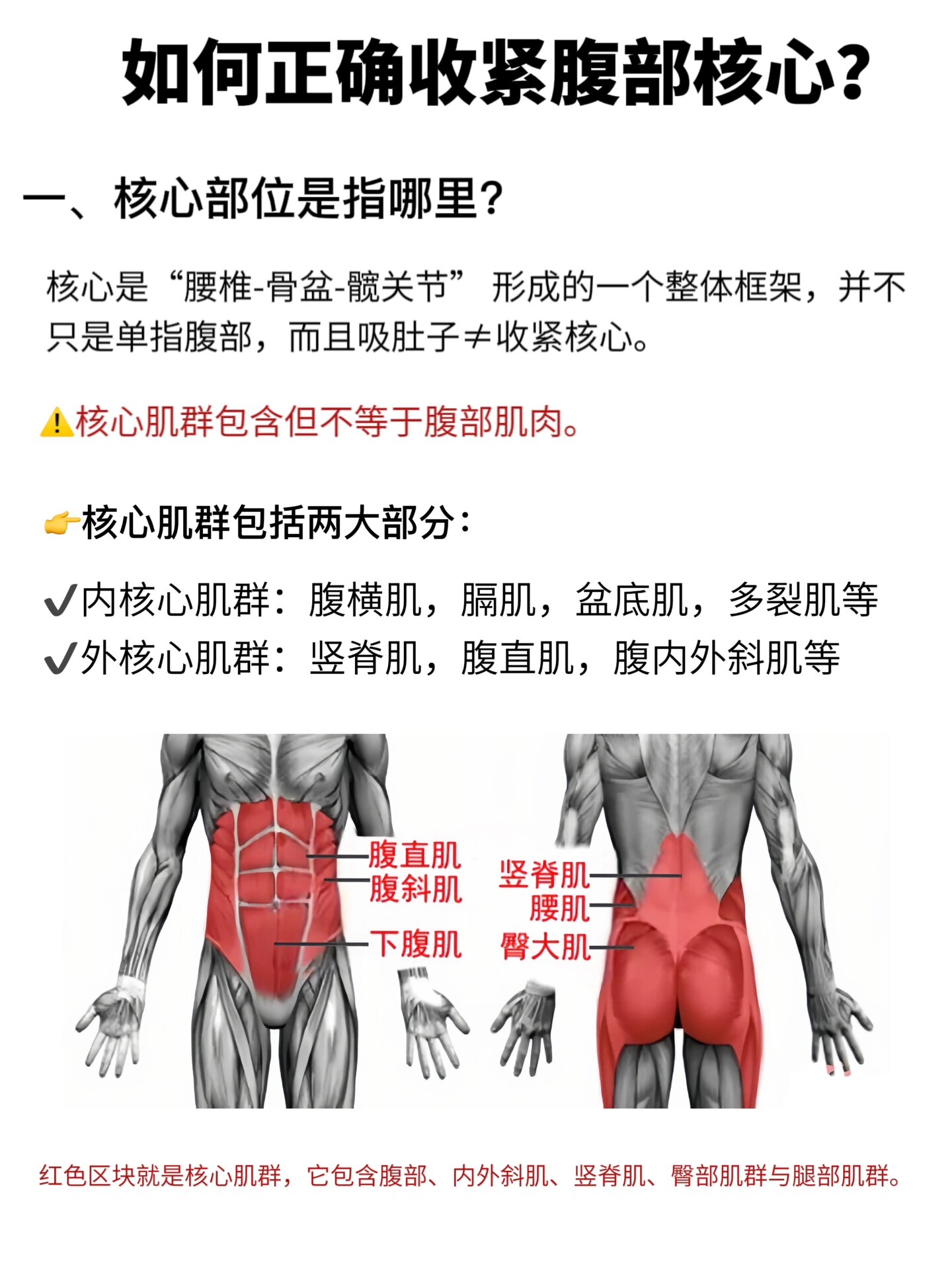 973招教你学会收紧核心6015运动效率加倍～ 不会收紧腹部核心的