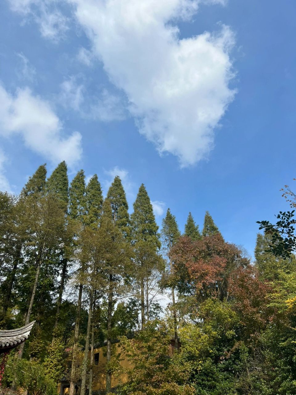 宁波徒步|五磊山藏云溪-倒爬岭古道 路线:慈溪五磊山风景区藏云溪至倒