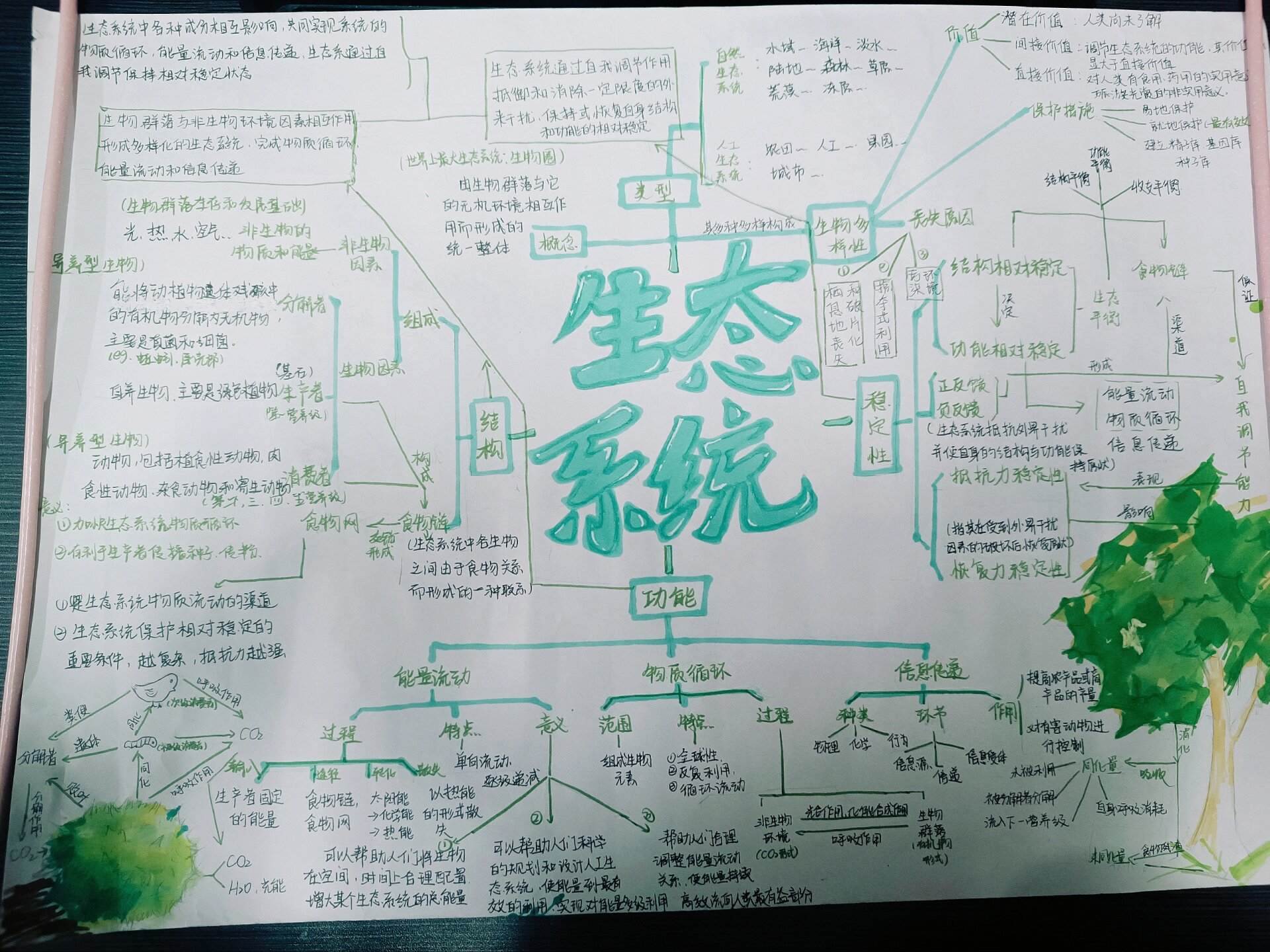 《生态系统》思维导图