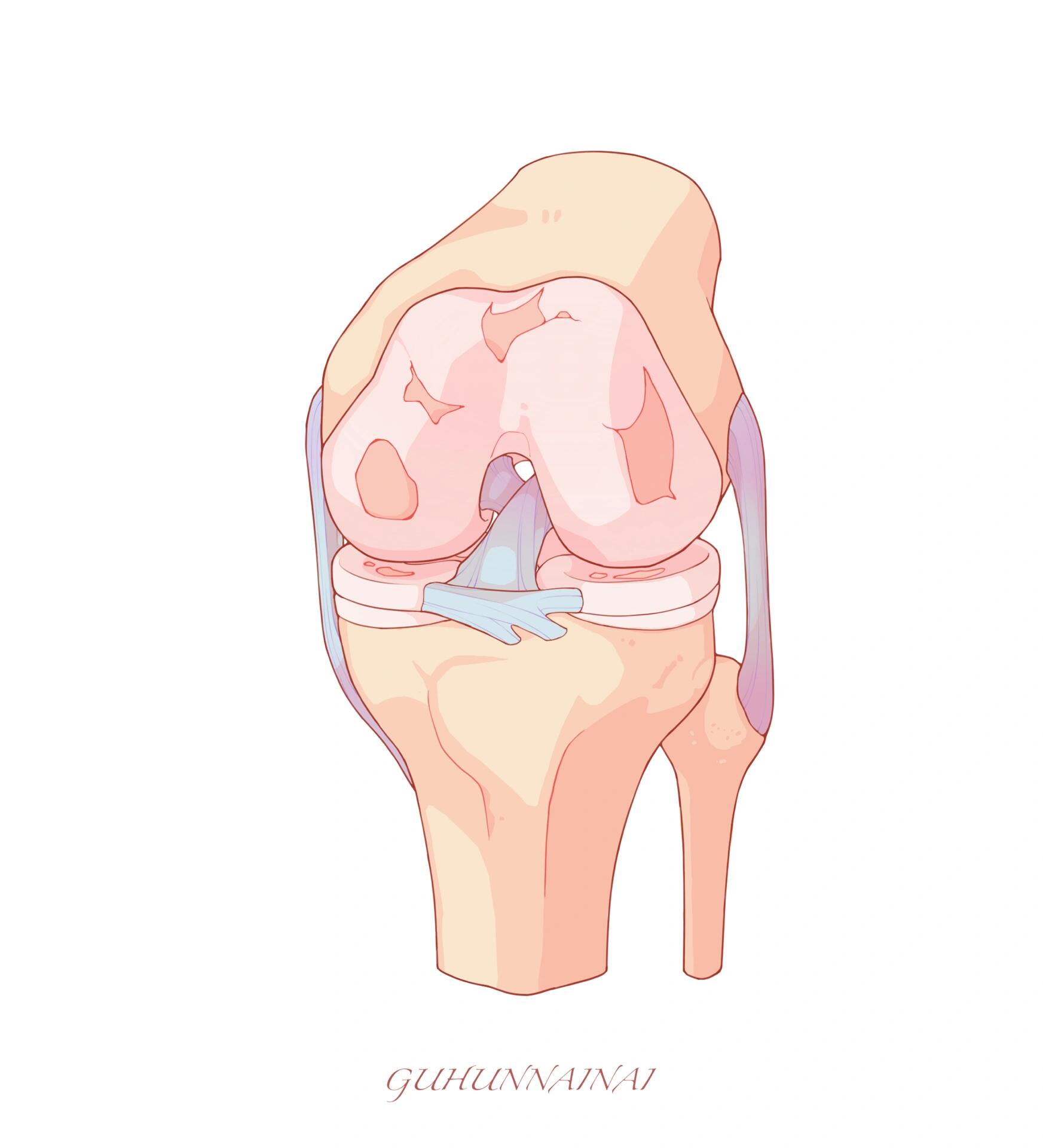 图源|一目可视 膝骨关节炎 knee osteoarthritis 膝关节软骨面