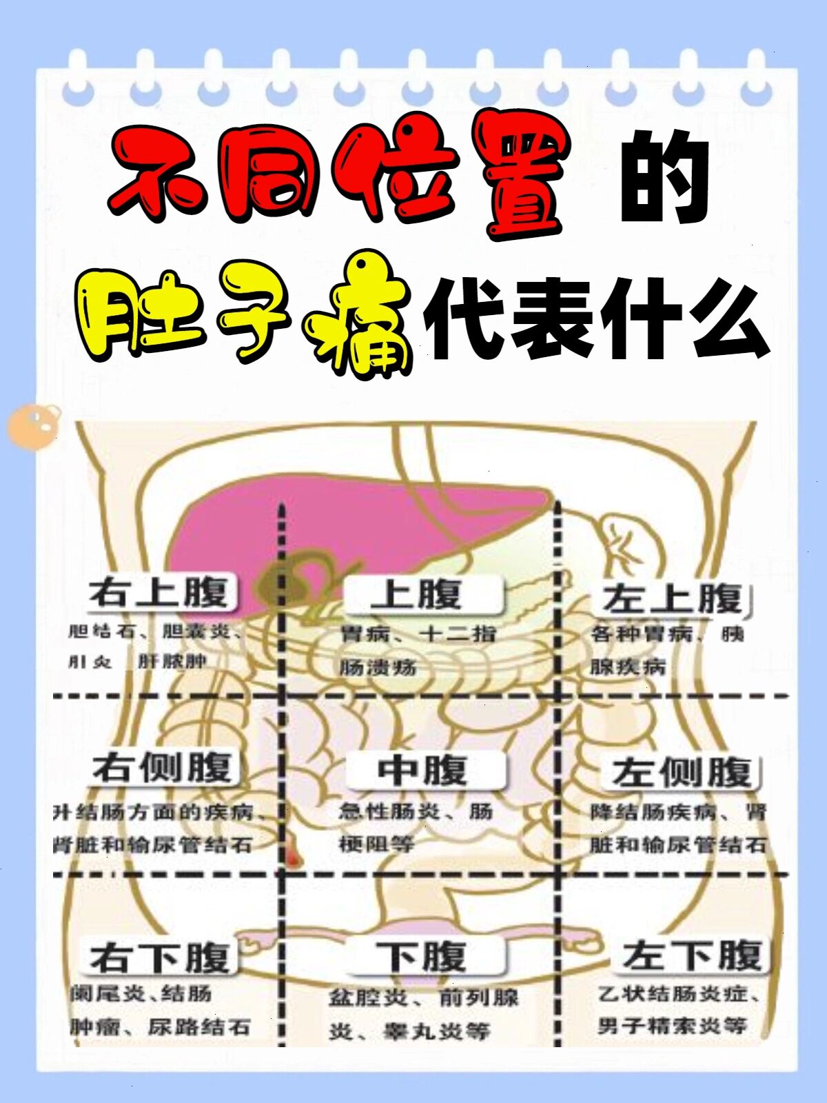 不同位置"肚子痛"代表什么❓你知道吗🤔