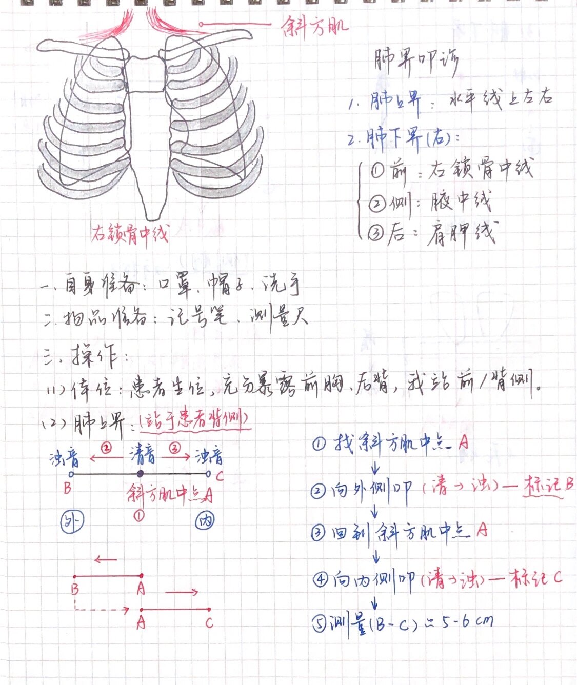 30年真心换来的肺界叩诊 真心看一遍就学会 - 上界范围5-6cm,下界6-8