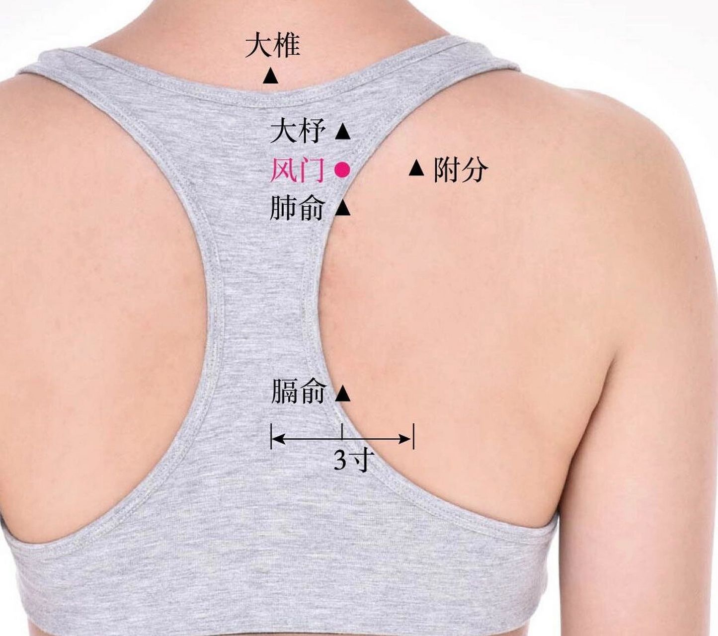 特效止咳穴位——止咳三穴      止咳三穴:大杼,风门,肺俞 咳嗽是肺经