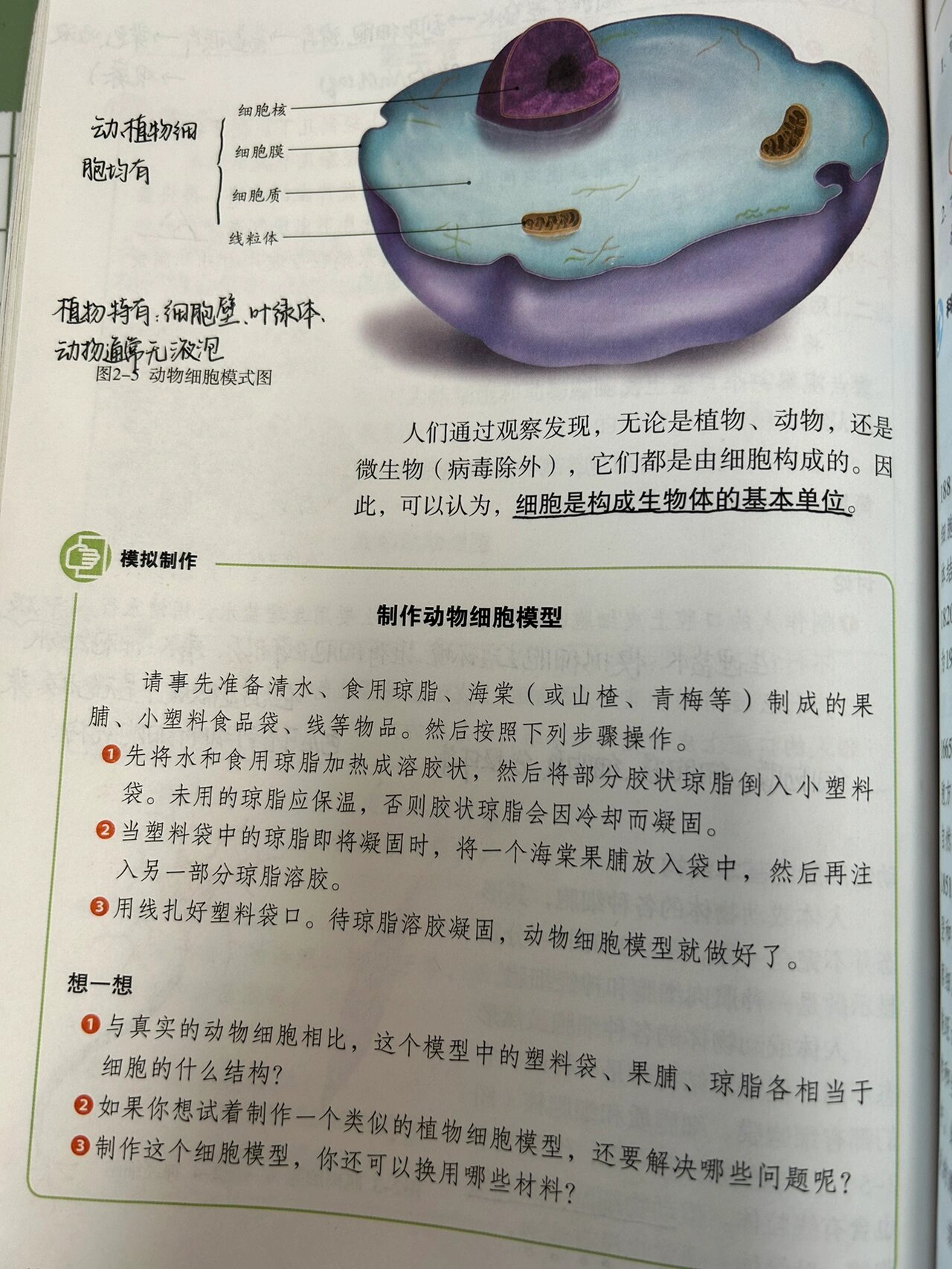 七上生物《动物细胞》课本笔记