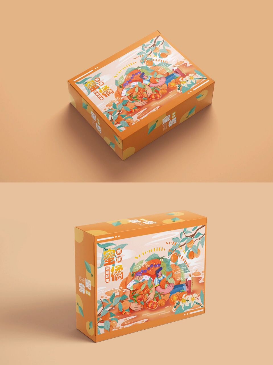 水果包装插画-橘子 又到了炫砂糖橘的时候了