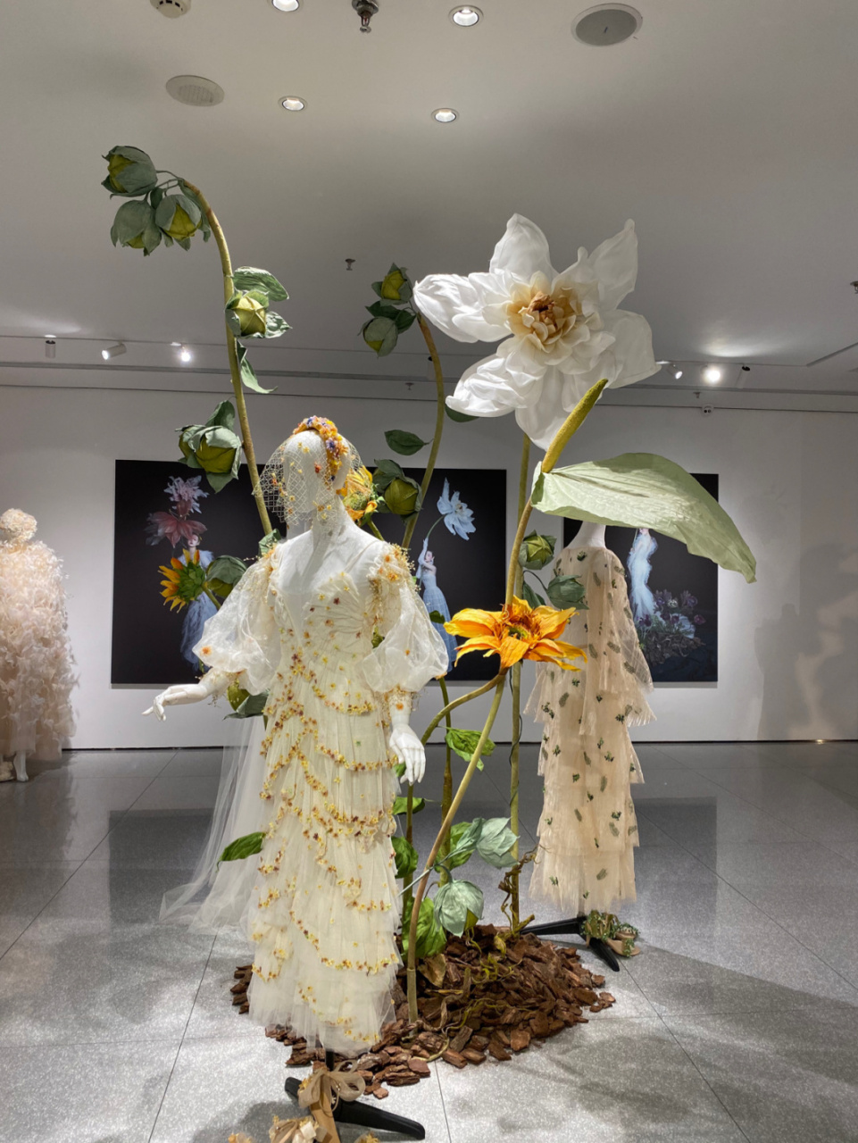 高颜值!纸艺花朵装置艺术 #手工