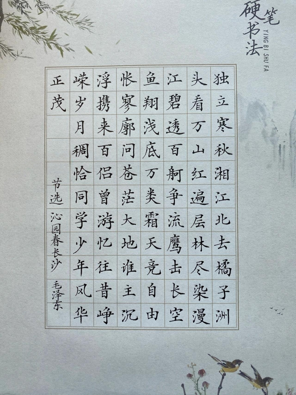 沁园春长沙硬笔字图片