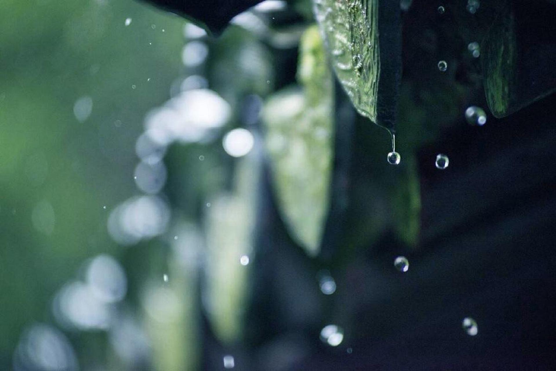 丝雨图片