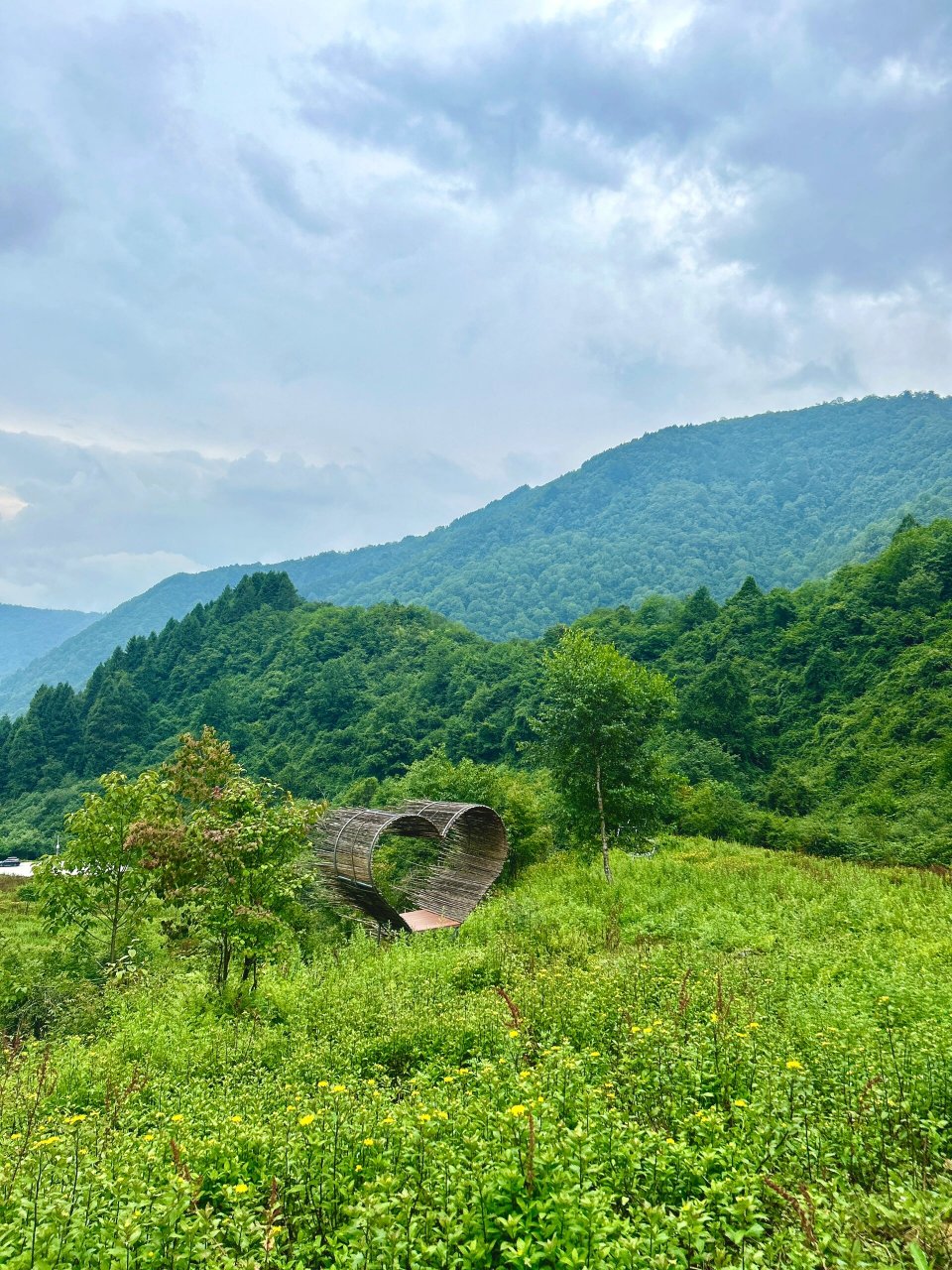 卧龙汶川熊猫坪生态公园 成都开车991.