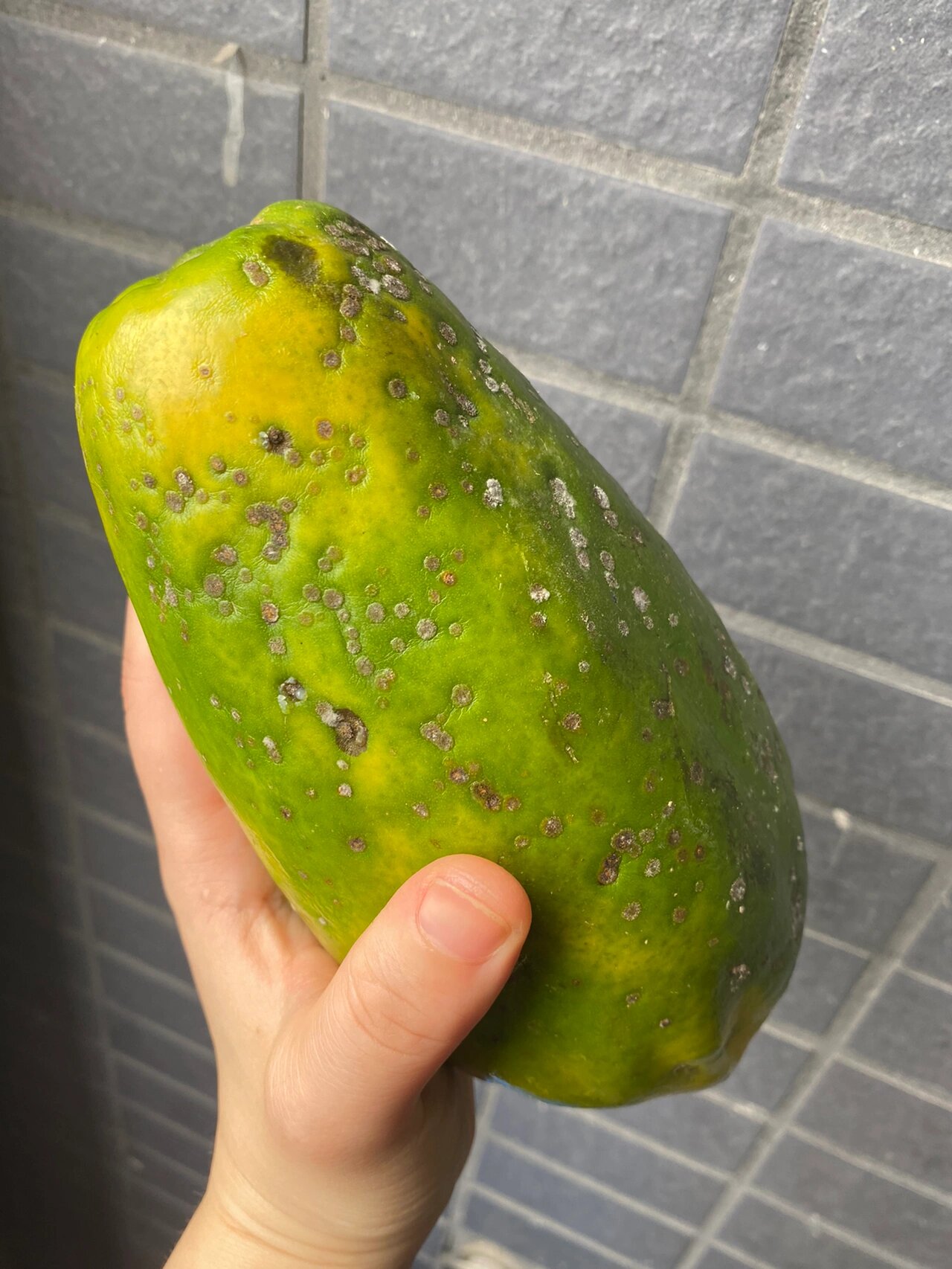 木瓜表皮有霉点也不知道能不能吃,麻