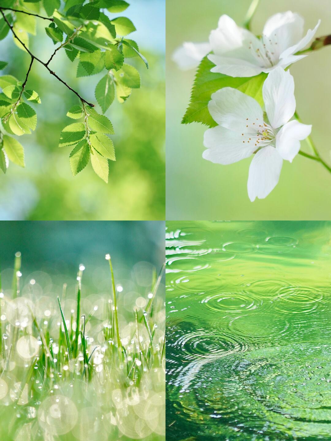 绿色是能让人安静下来的色彩92附直出参数95