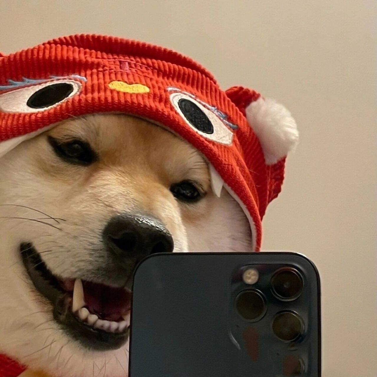 可爱又沙雕的情头合集(1) 10.