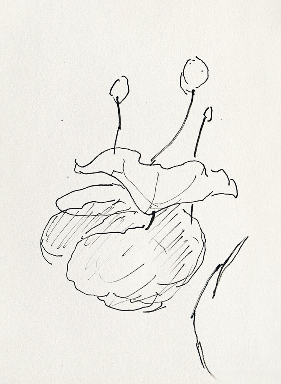 画家吴冠中速写