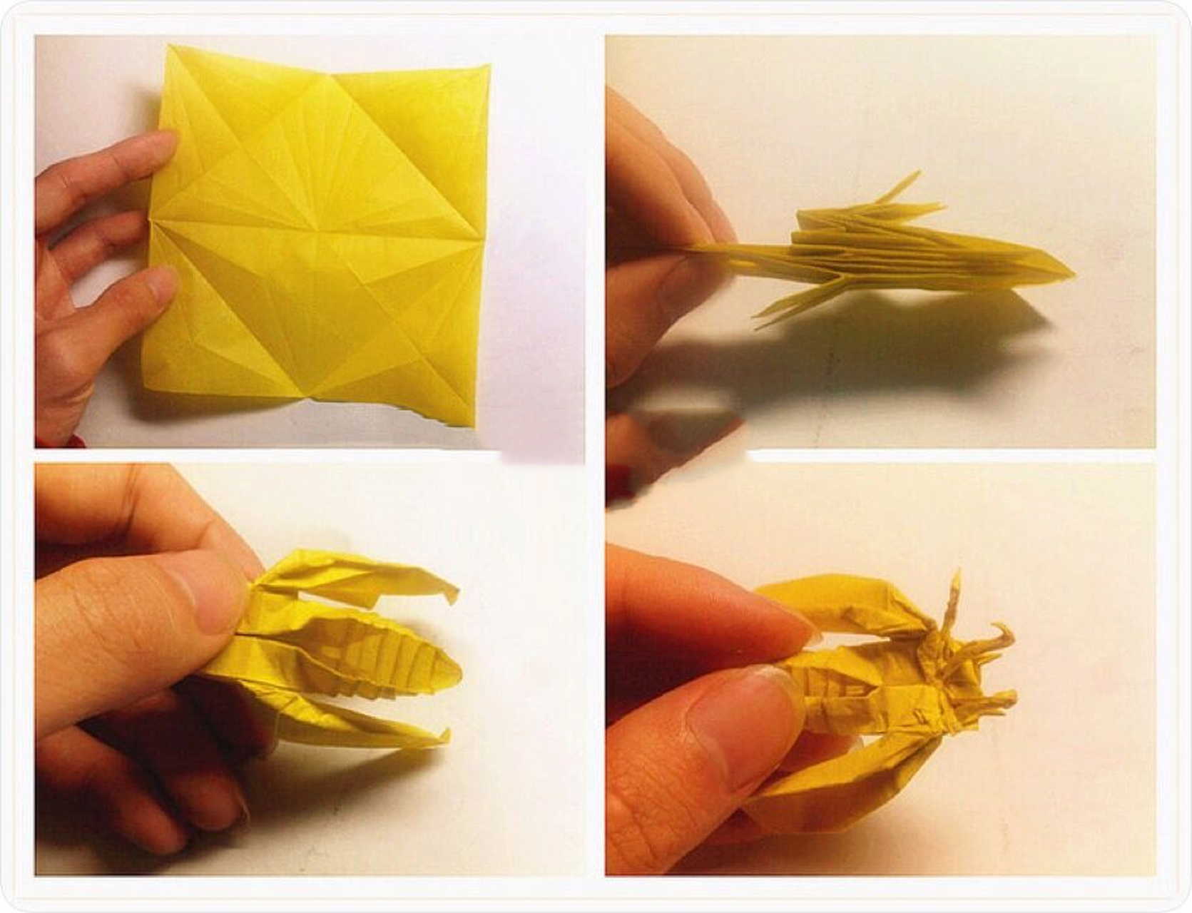 现代折纸欣赏～夏蝉 一抹亮眼的黄色,一只闹腾的小生命 一张14cm油纸