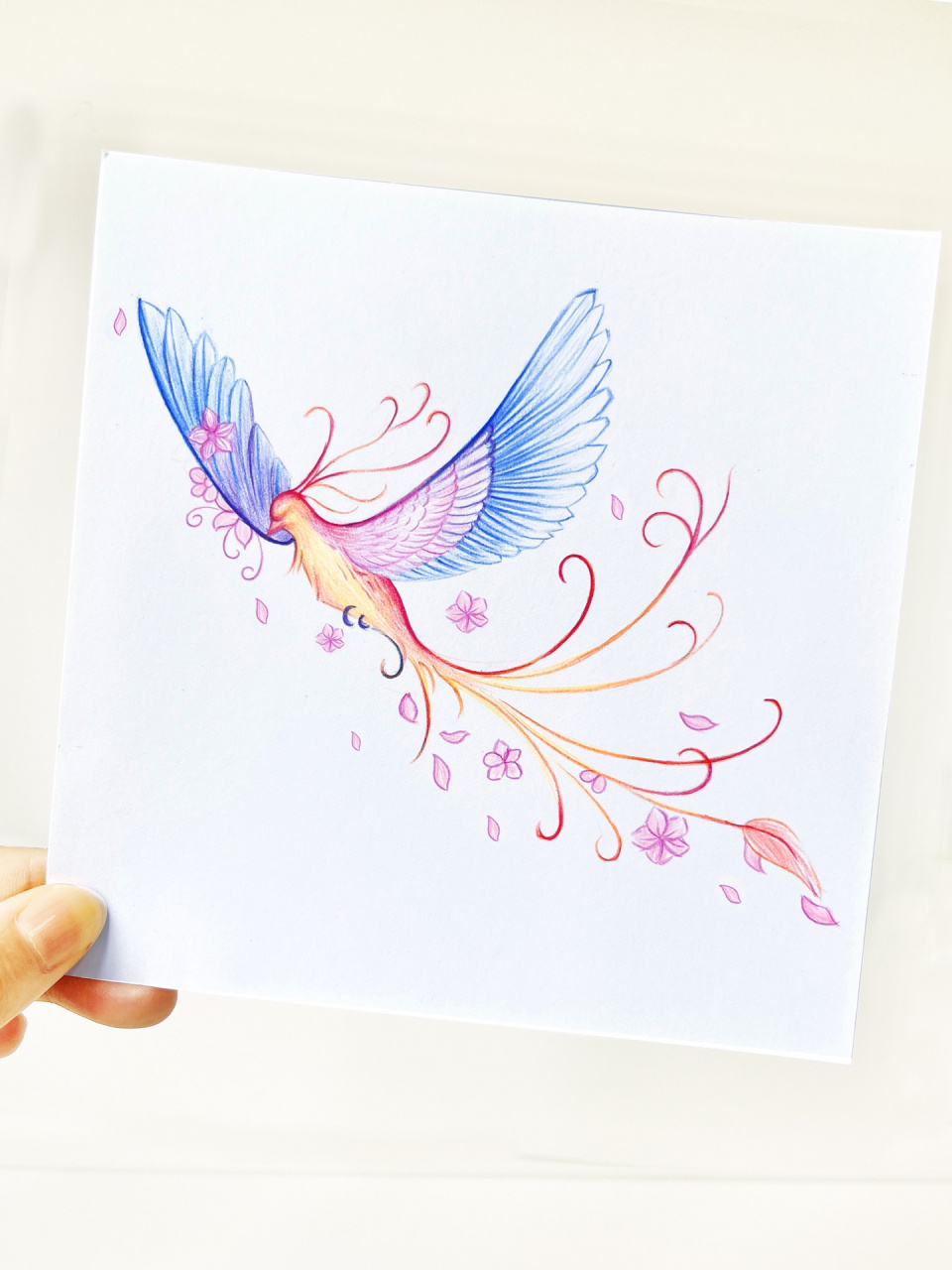 画一只花间飞舞的凤凰～ 简简单单的凤凰彩铅绘画教程来喽!