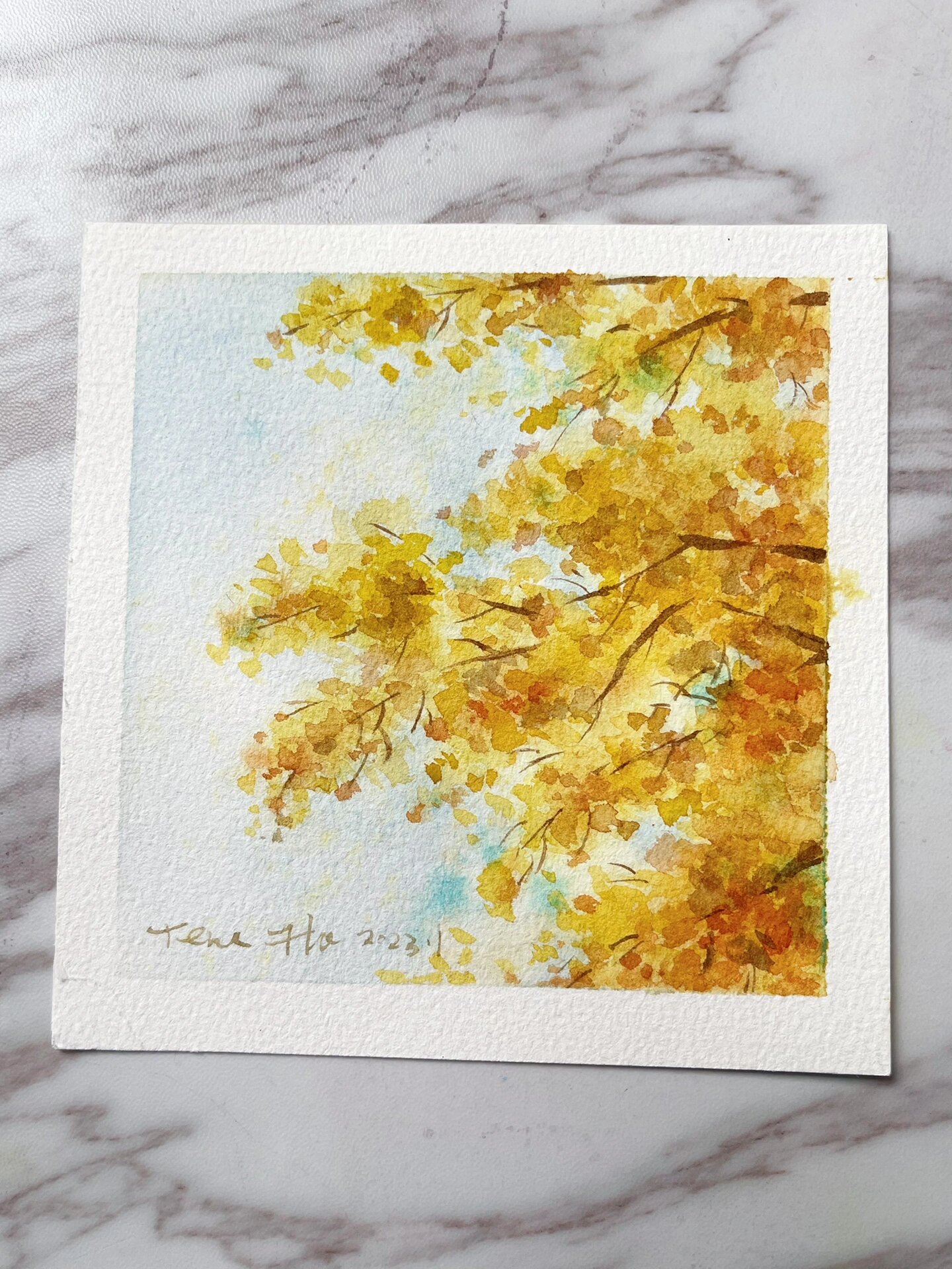 水彩|想念秋天的银杏树(有步骤)