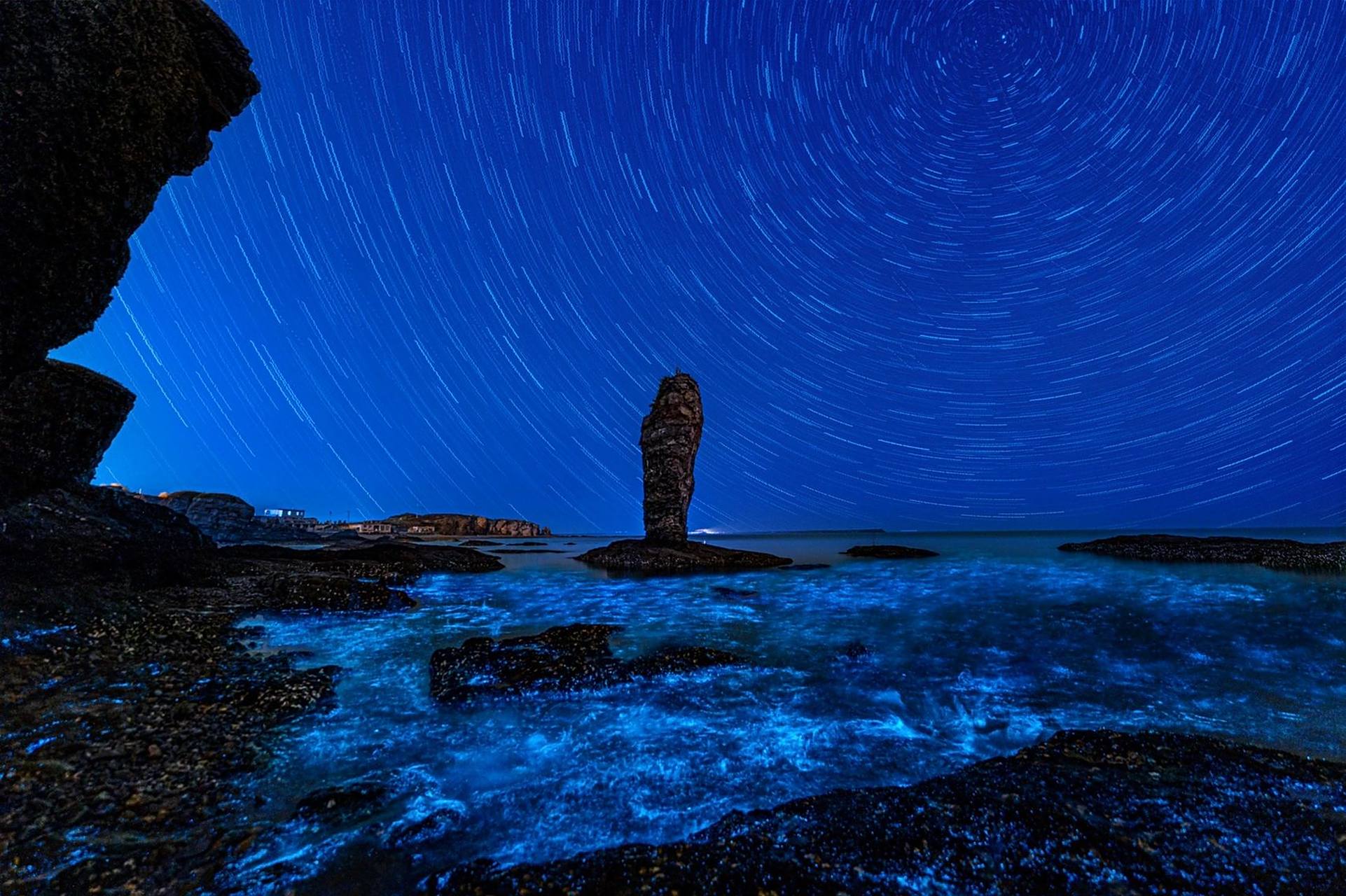 大连荧光海(小众景点) 又到了荧光海的季节,连续蹲守几夜,极其幸运